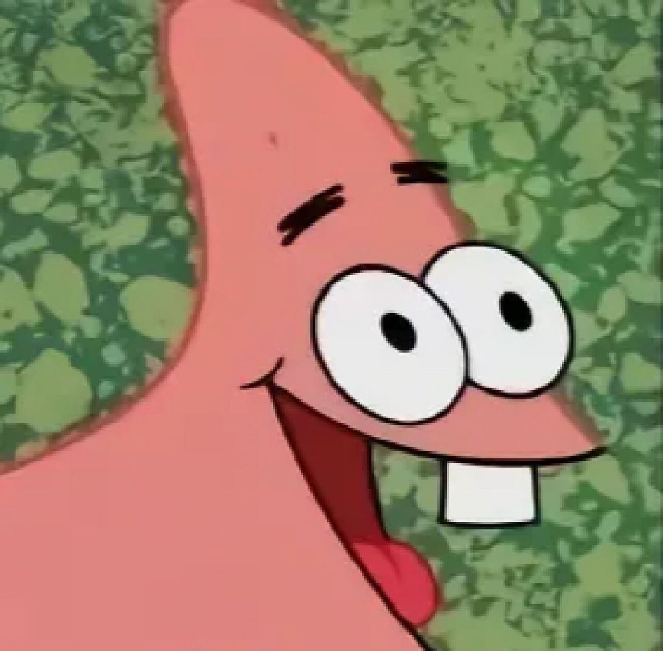 一组傻傻的头像   可以和朋友们一起用哈哈哈