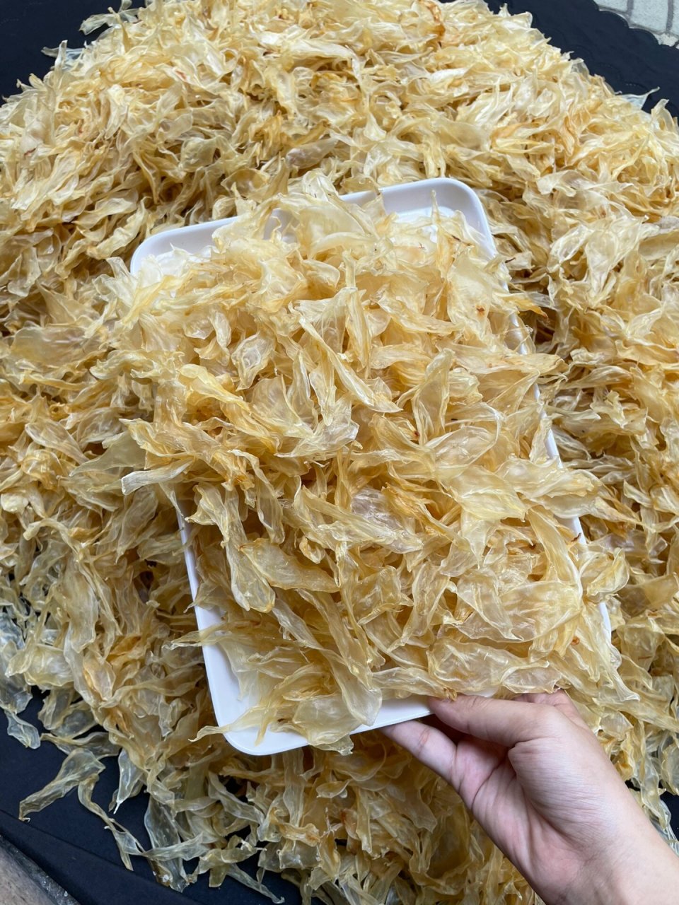 小规格竹叶胶,止咳润肺,一斤200779215 【小规格竹叶胶】 野生