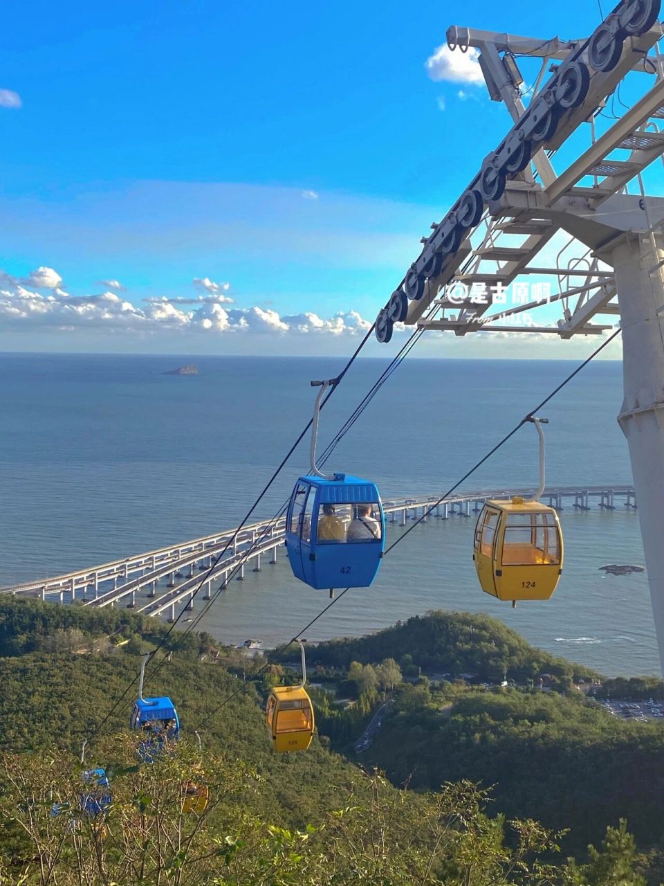 大连莲花山观景台门票图片