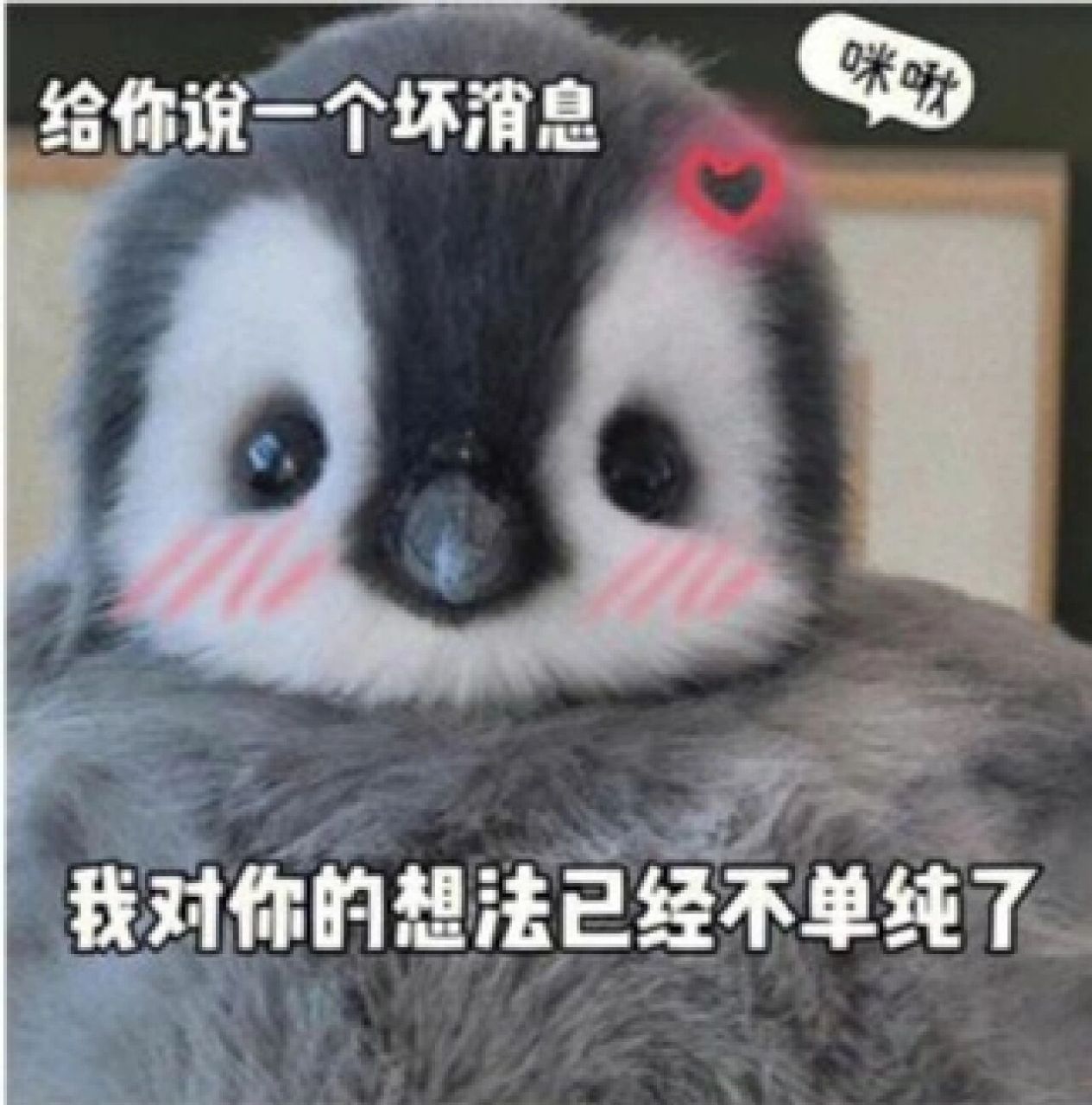 小企鹅表情包 真的是长到我的心巴上惹