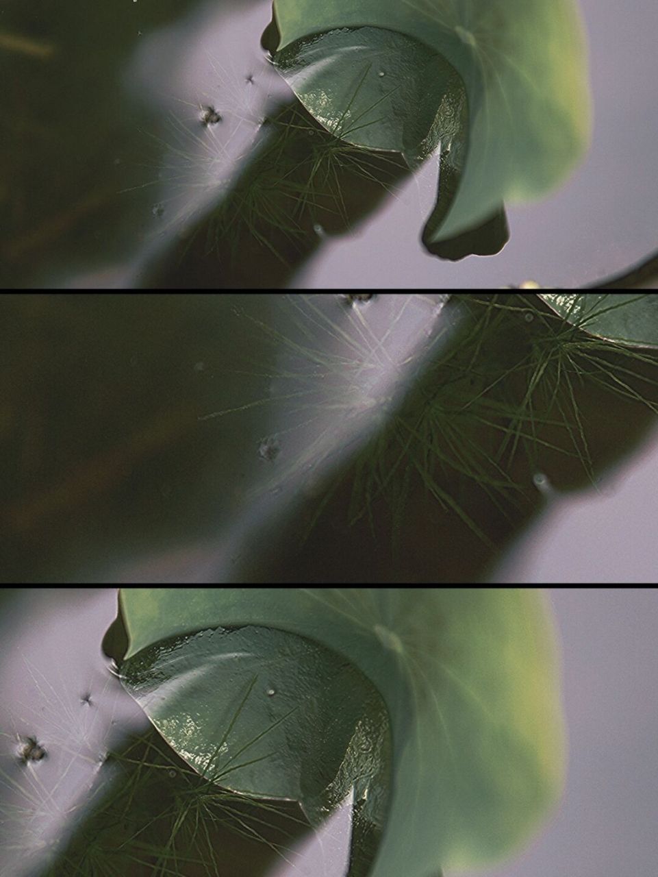 7415修图app:黄油04 7415滤镜:三格ii 80 7415特效