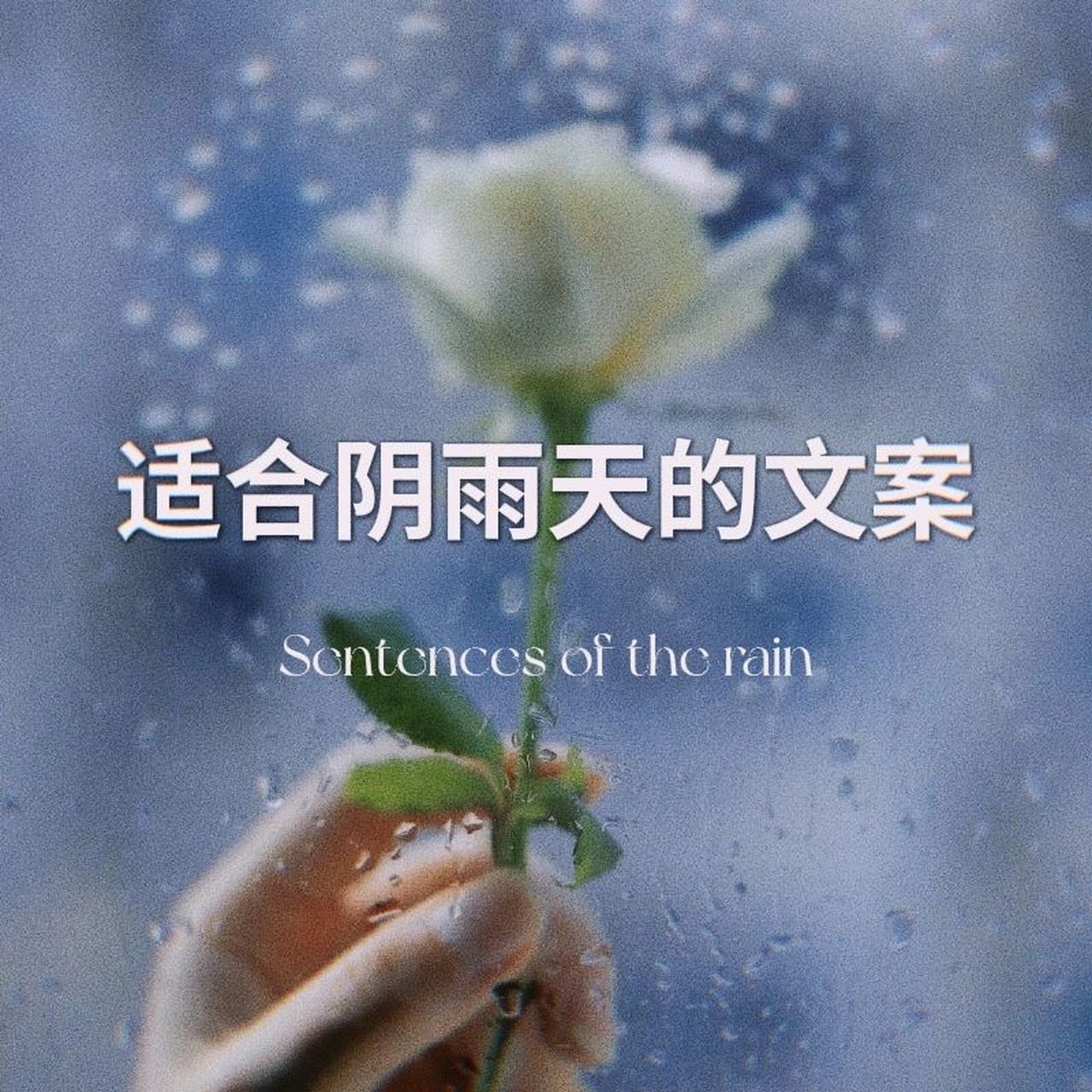 下雨天文案来啦!