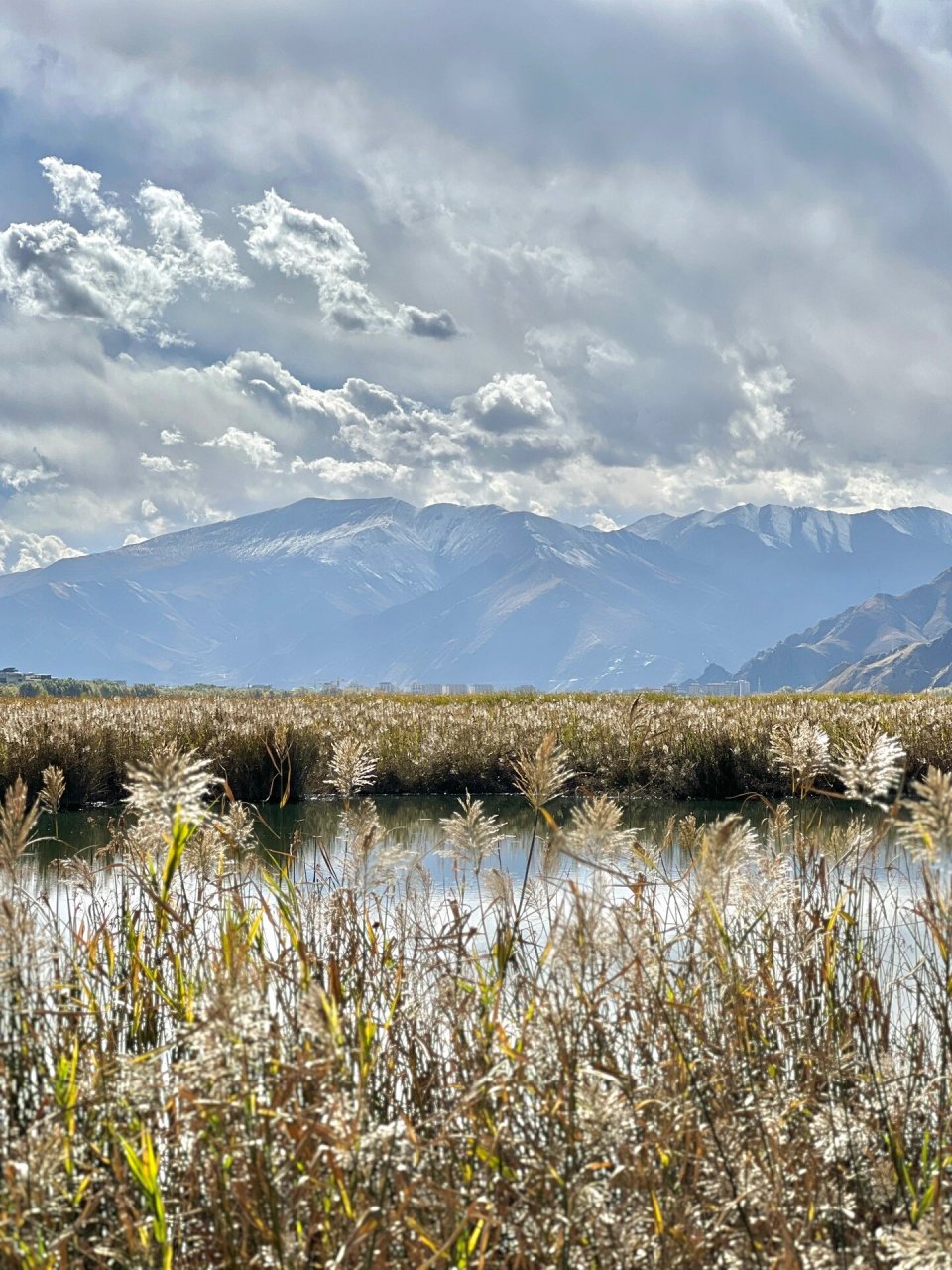 拉鲁湿地半日游 11月拉鲁湿地公园就不再对外开放了 再想进去徒步