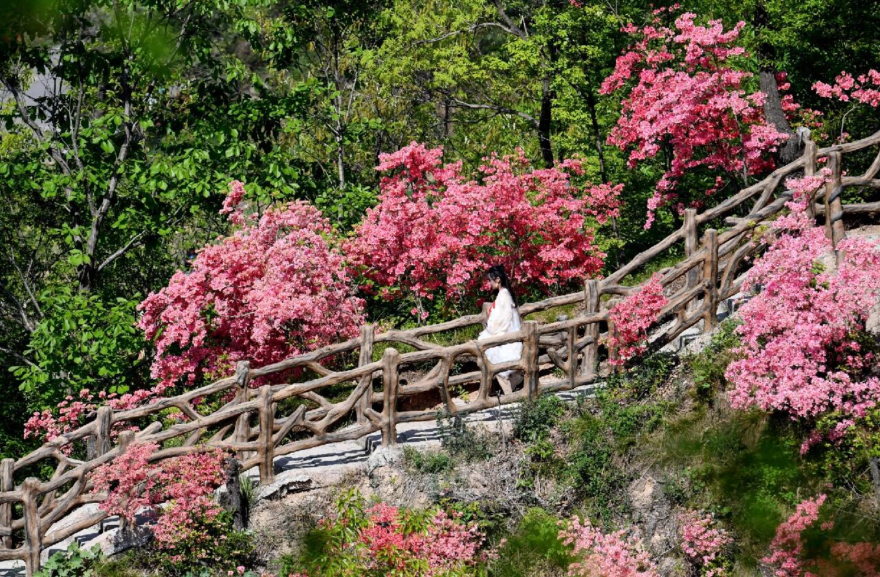 汝阳县西泰山景区图片图片