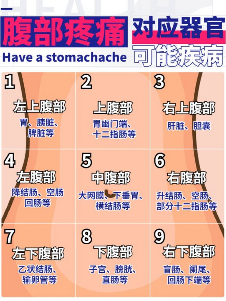 右上腹痛----胆结石,胆囊炎,肝炎,肝癌等 胆囊疾病一般饭后加重,痛感