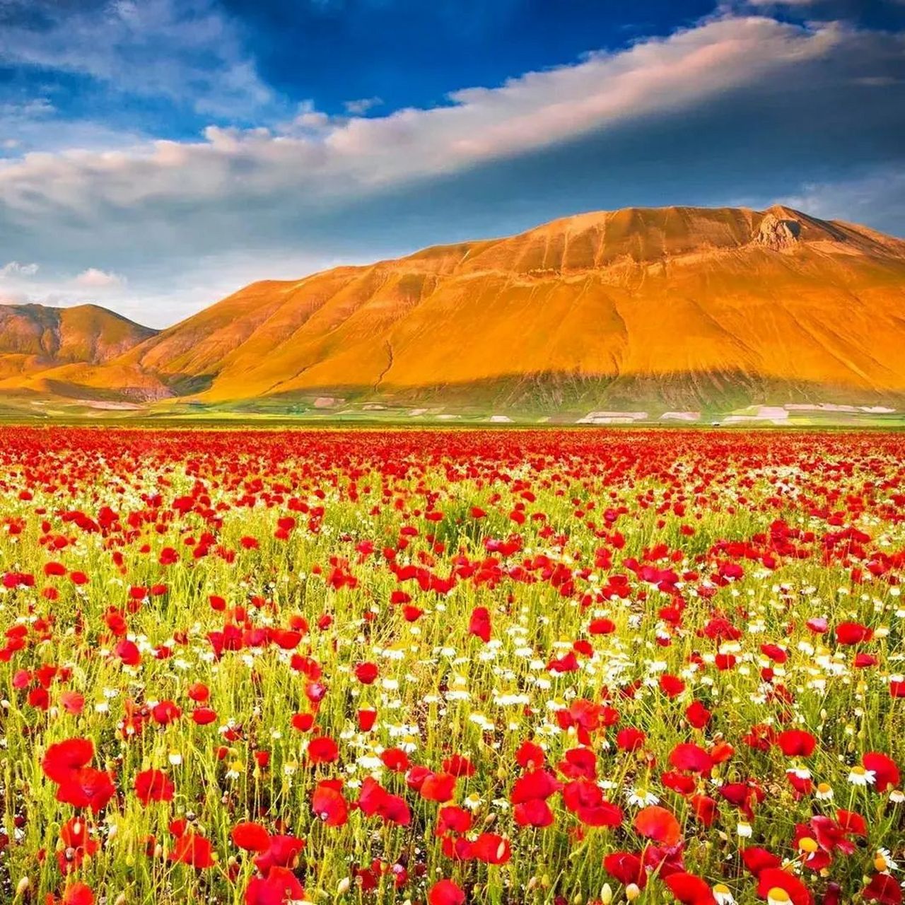 微信头像风景图片大全吉利招财转运 这些风景图片太美了,适合做微信