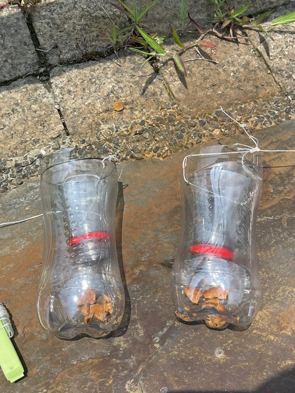 抓鱼神器 照着上学的,可乐瓶做的捉鱼神器, 一共做了3个,第一次下水