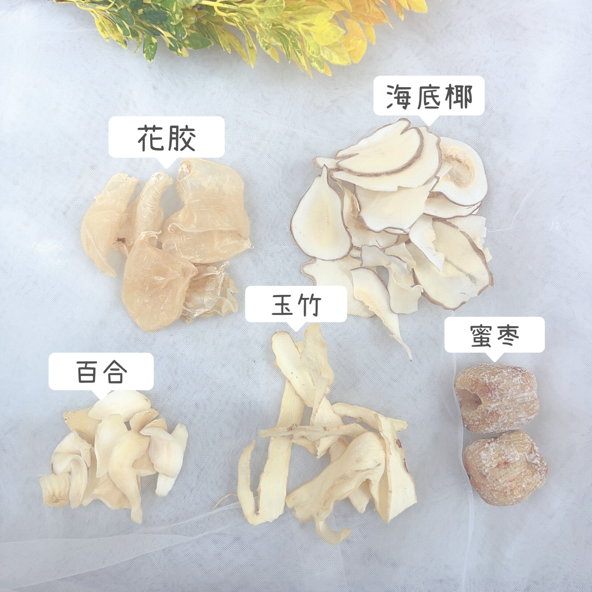 孕期营养汤 花胶海底椰百合汤 花胶里含有丰富的优质蛋白和维生素