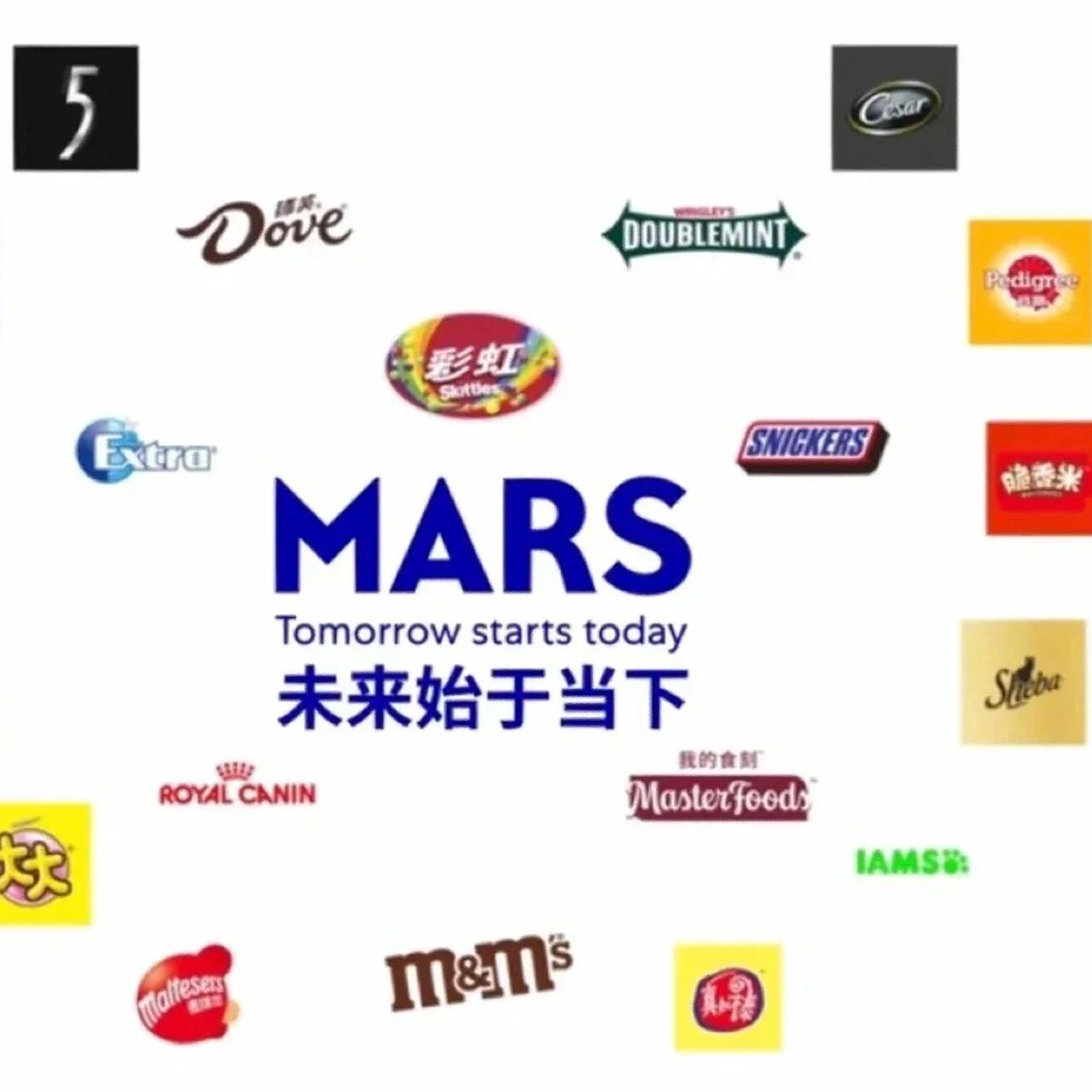 玛氏箭牌-终面个人经历面复盘 书接上回!