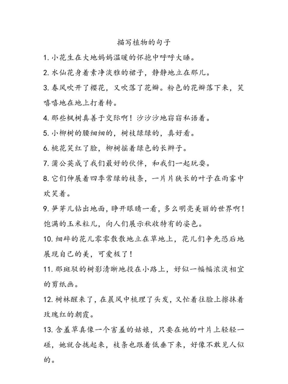 小学生作文好句好段摘抄/晨读(描写植物)