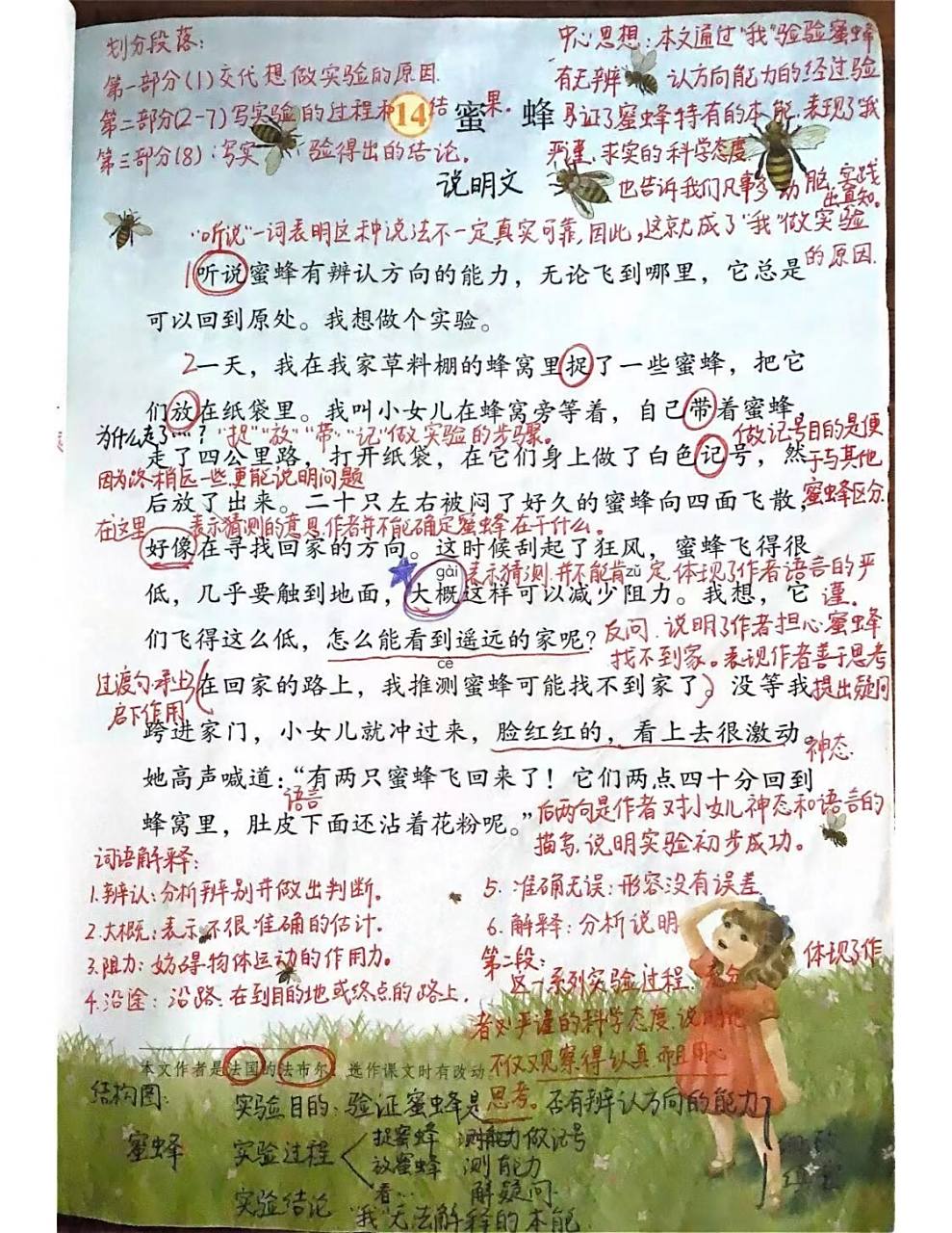三年级语文下册第14课《蜜蜂》课堂笔记来咯 本课的重难点皆体现在