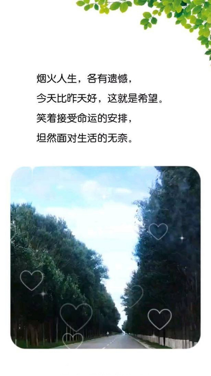 《笑着接受命运的安排,坦然面对生活的无奈》笑着接受命运的安排,坦然
