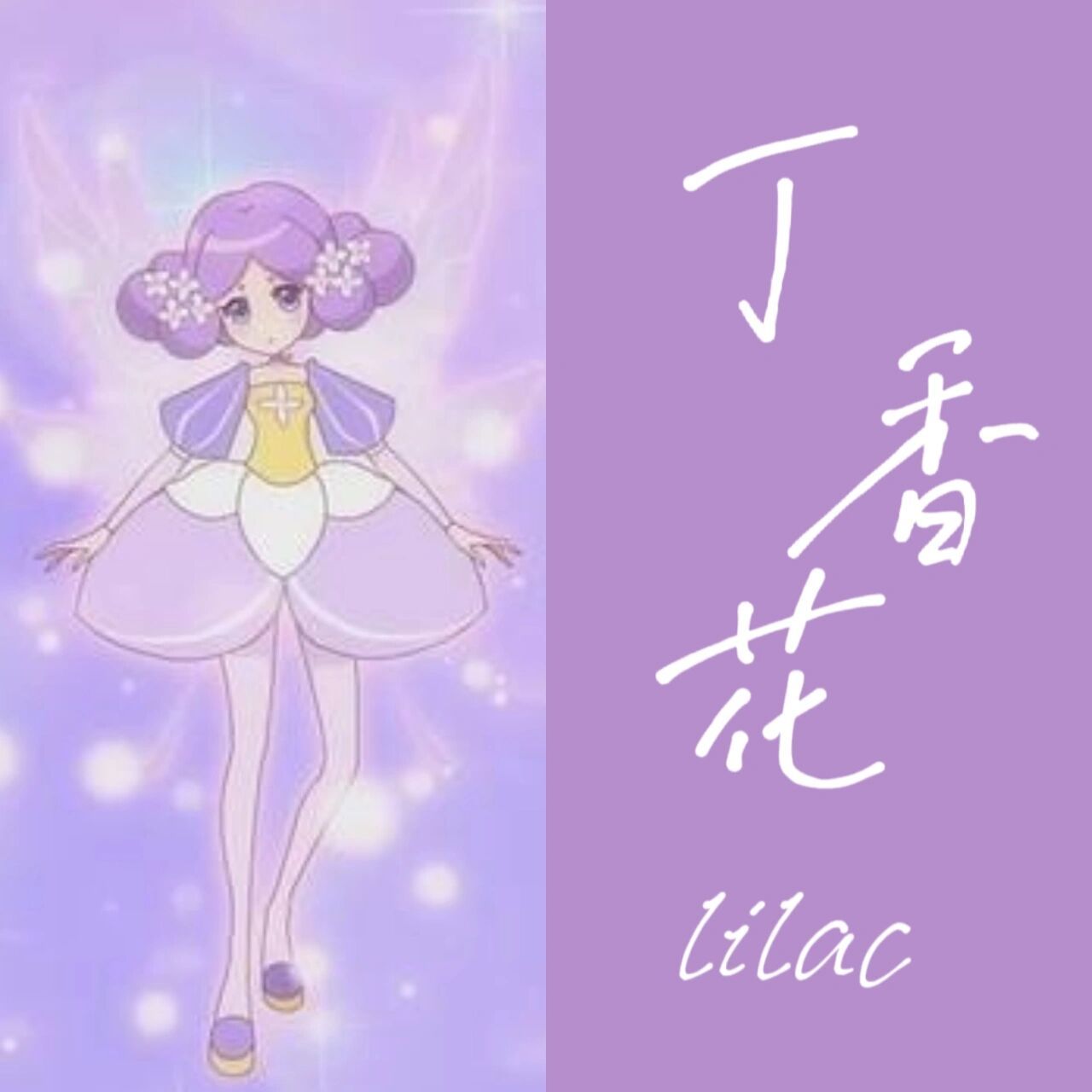 丁香花——百结 花名:丁香花 守护精灵王:百结 代表日期:2月10日 花语