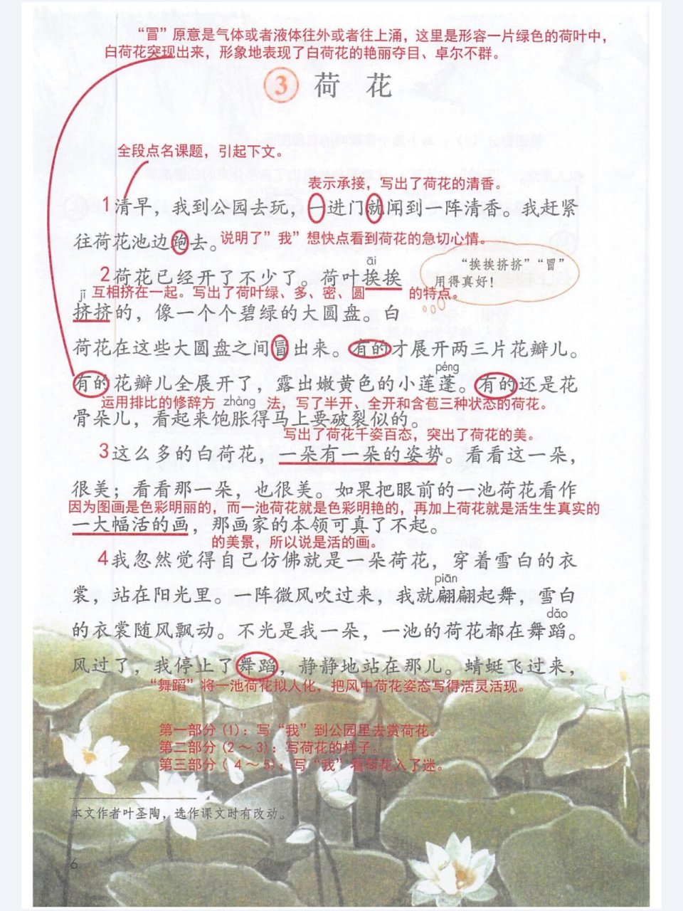 《学霸笔记》三下语文3 荷花