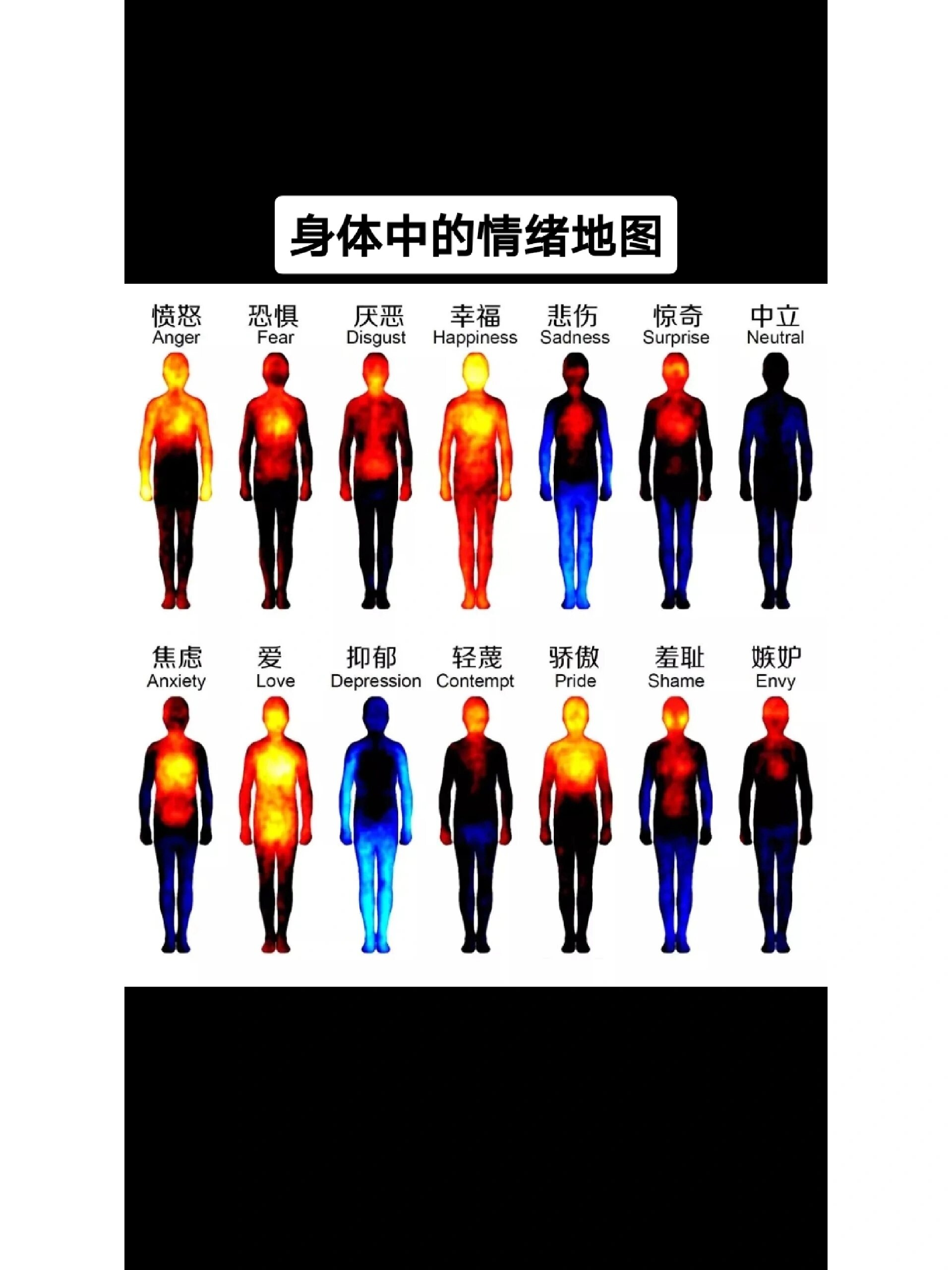 身体中的情绪地图