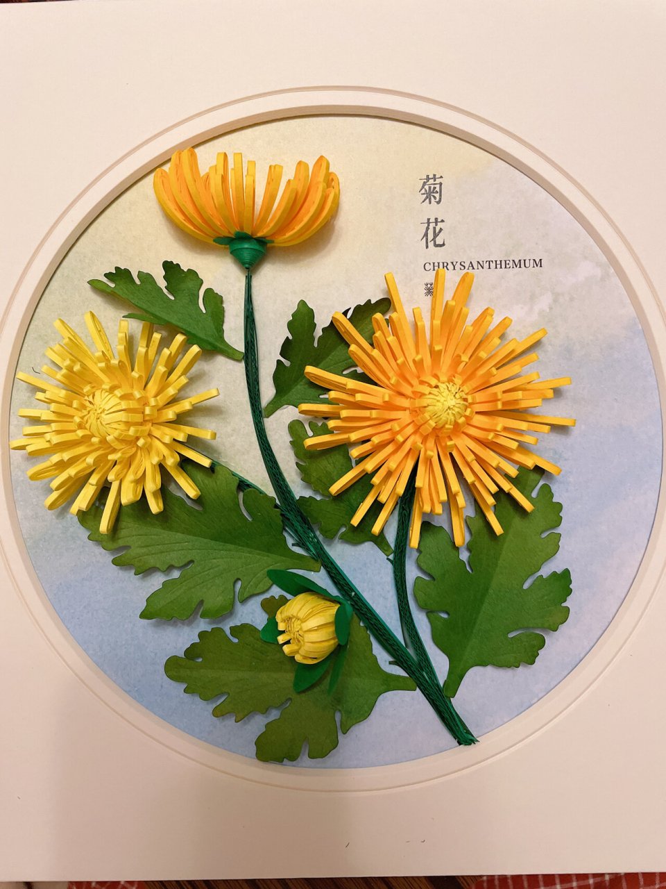 衍纸作品——菊花 菊花是我国的传统名花.