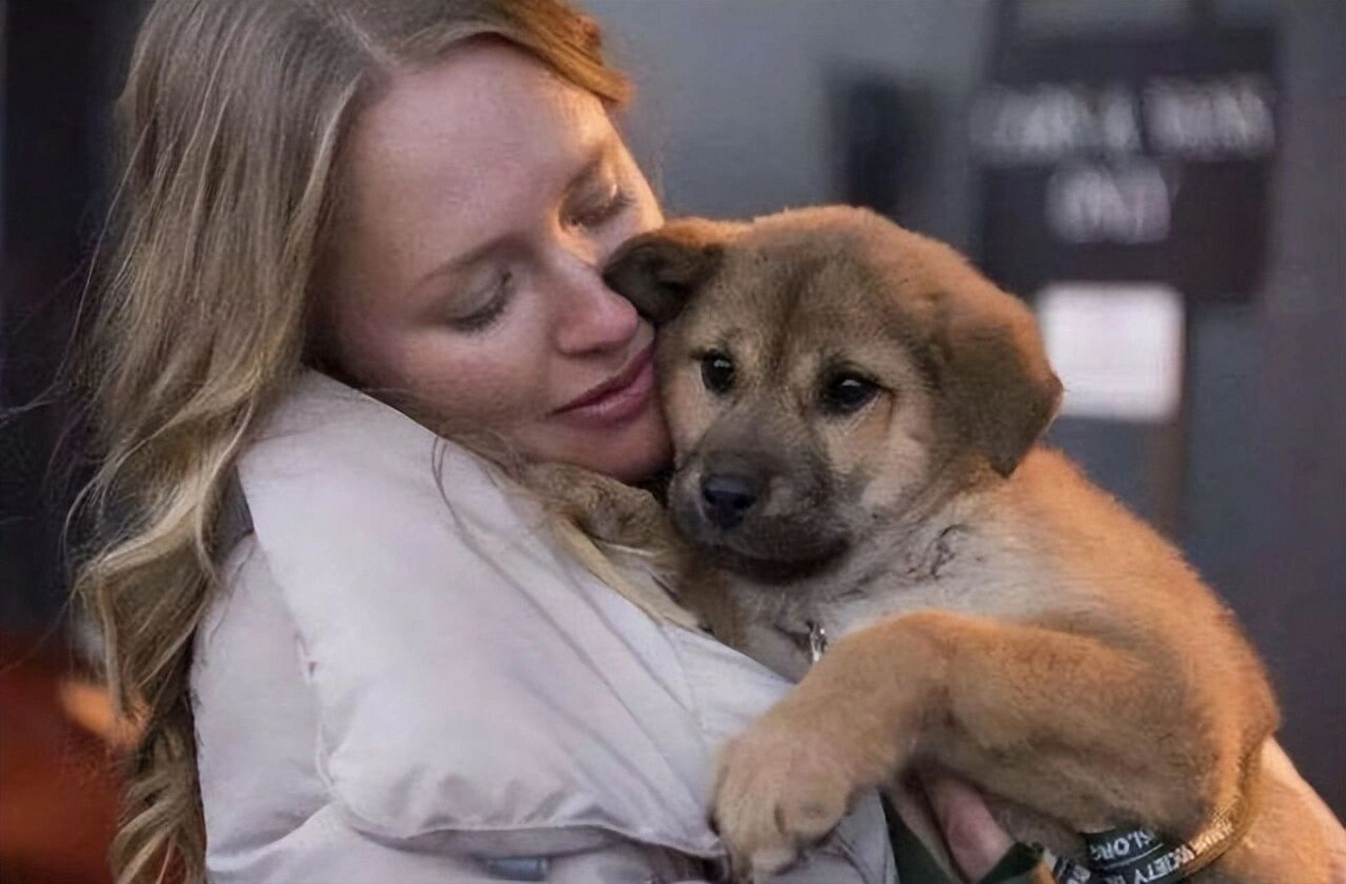 原来狗狗出现这些行为,是认你为"妈妈"了 狗狗都是知恩图报的,主人对