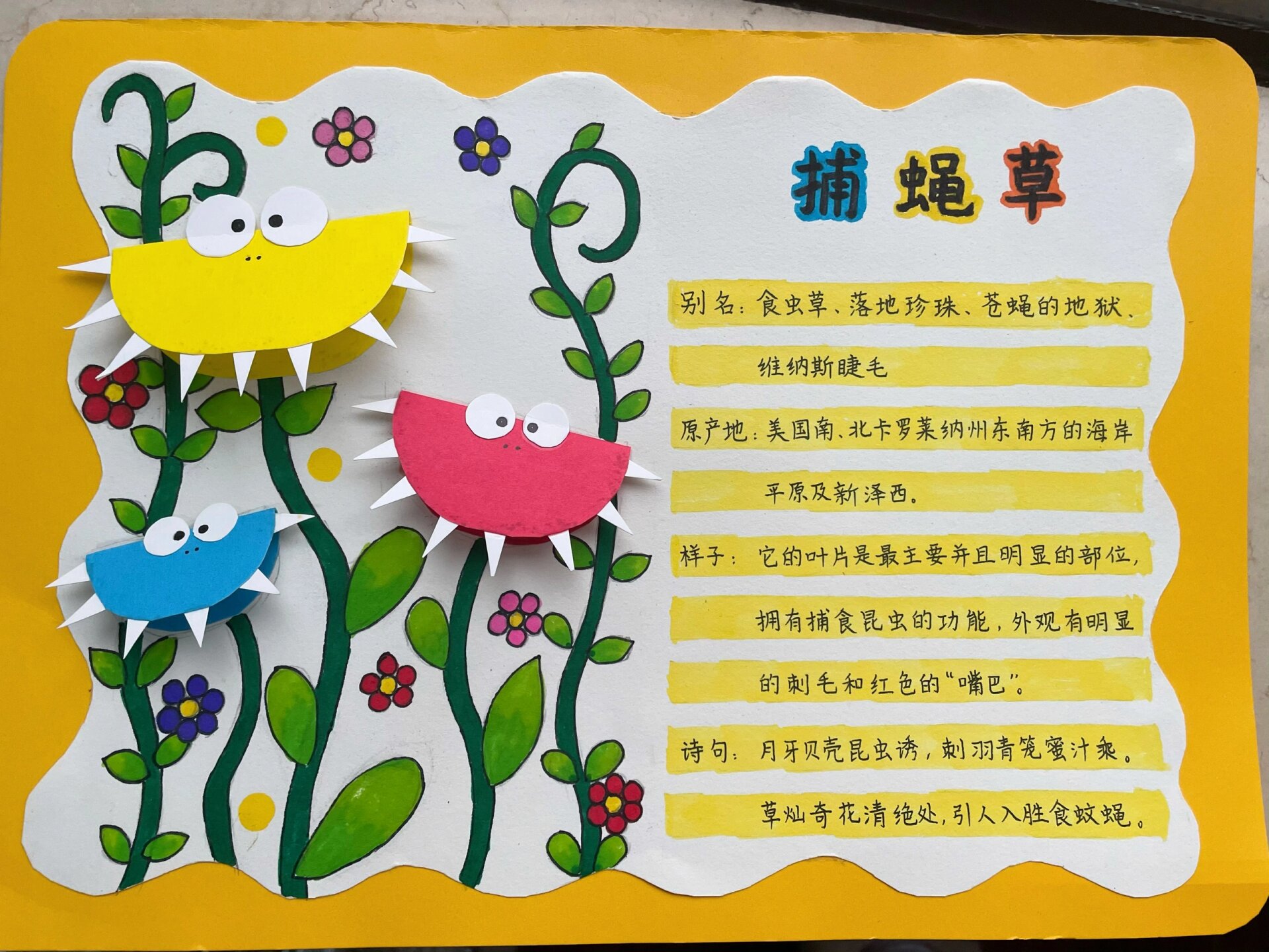 植物简介——捕蝇草