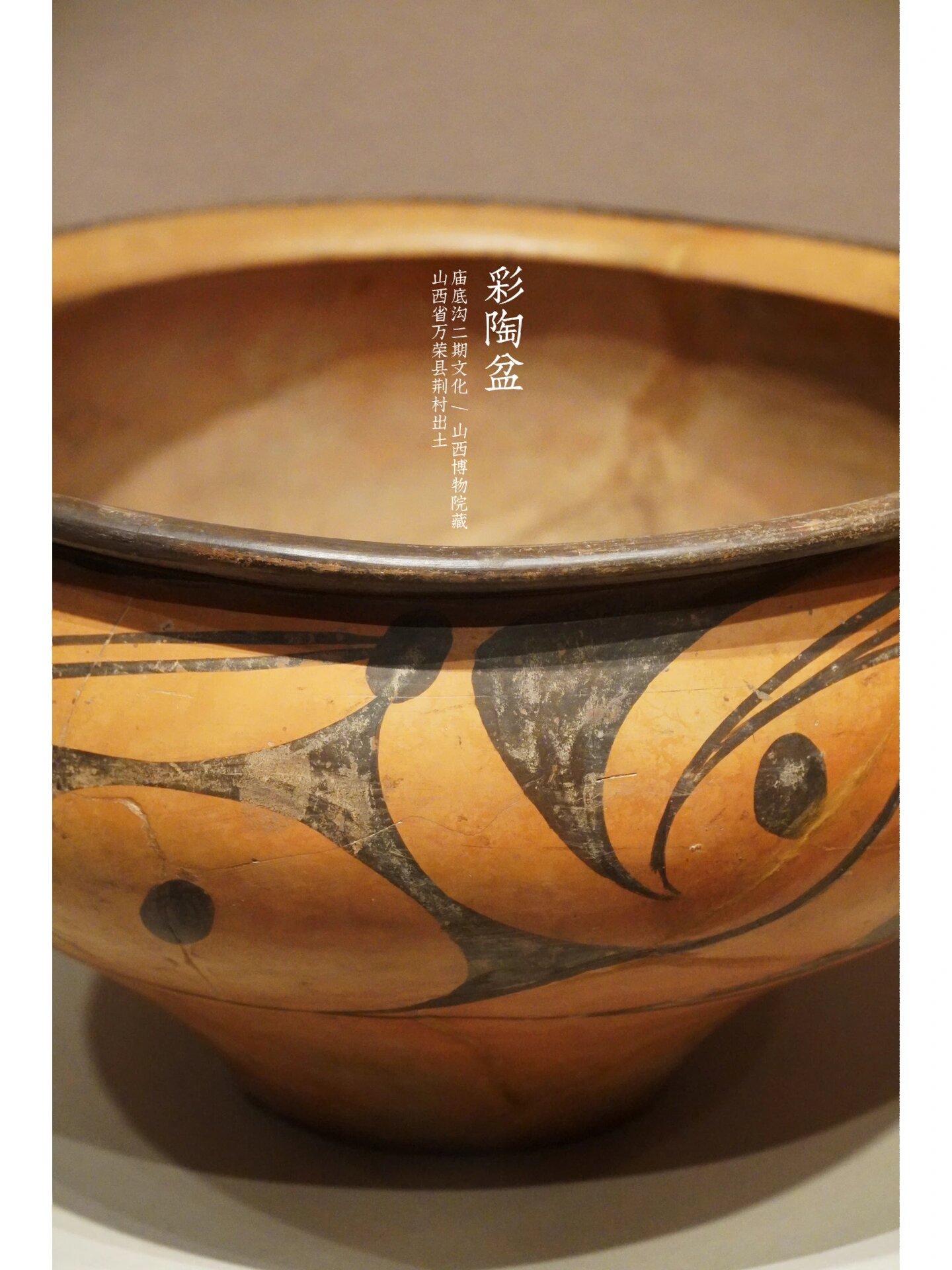 春晚舞台上的庙底沟文化彩陶花瓣纹