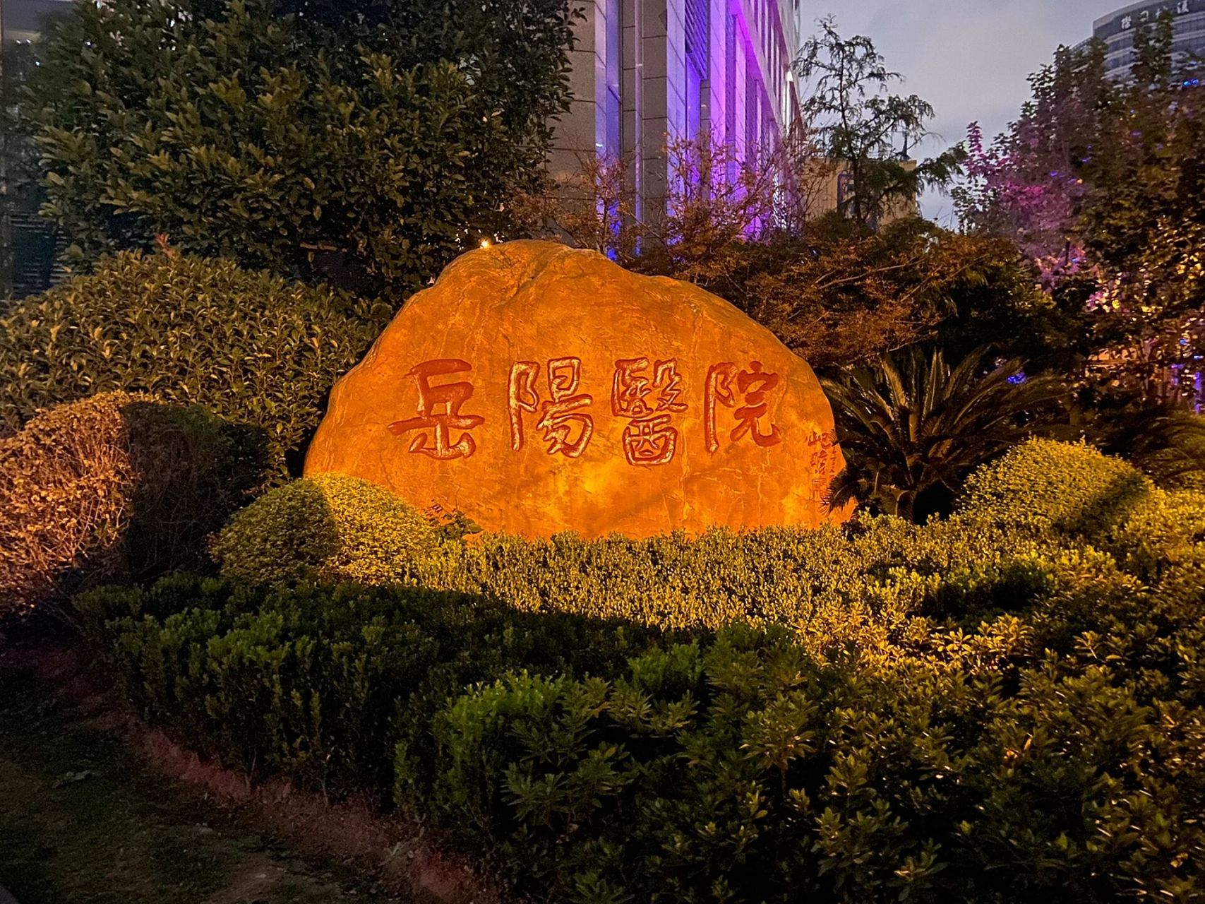 上海推拿届的天花板,我提名岳阳医院老中医 👧迟到一年的"拔草"虽然