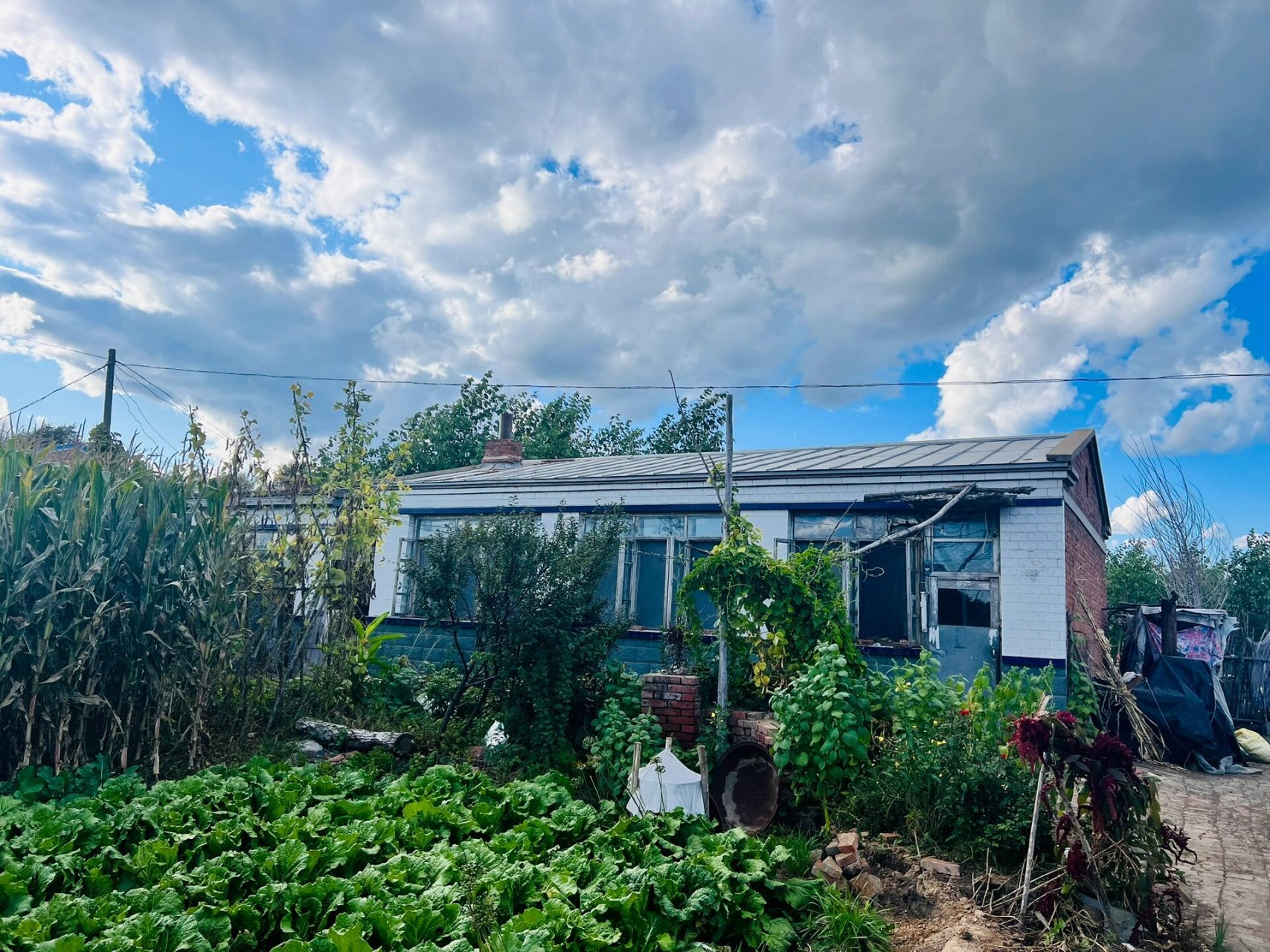 我亲亲的姥姥家我超爱的!地地道道的东北农村家庭,夏天真的很美!