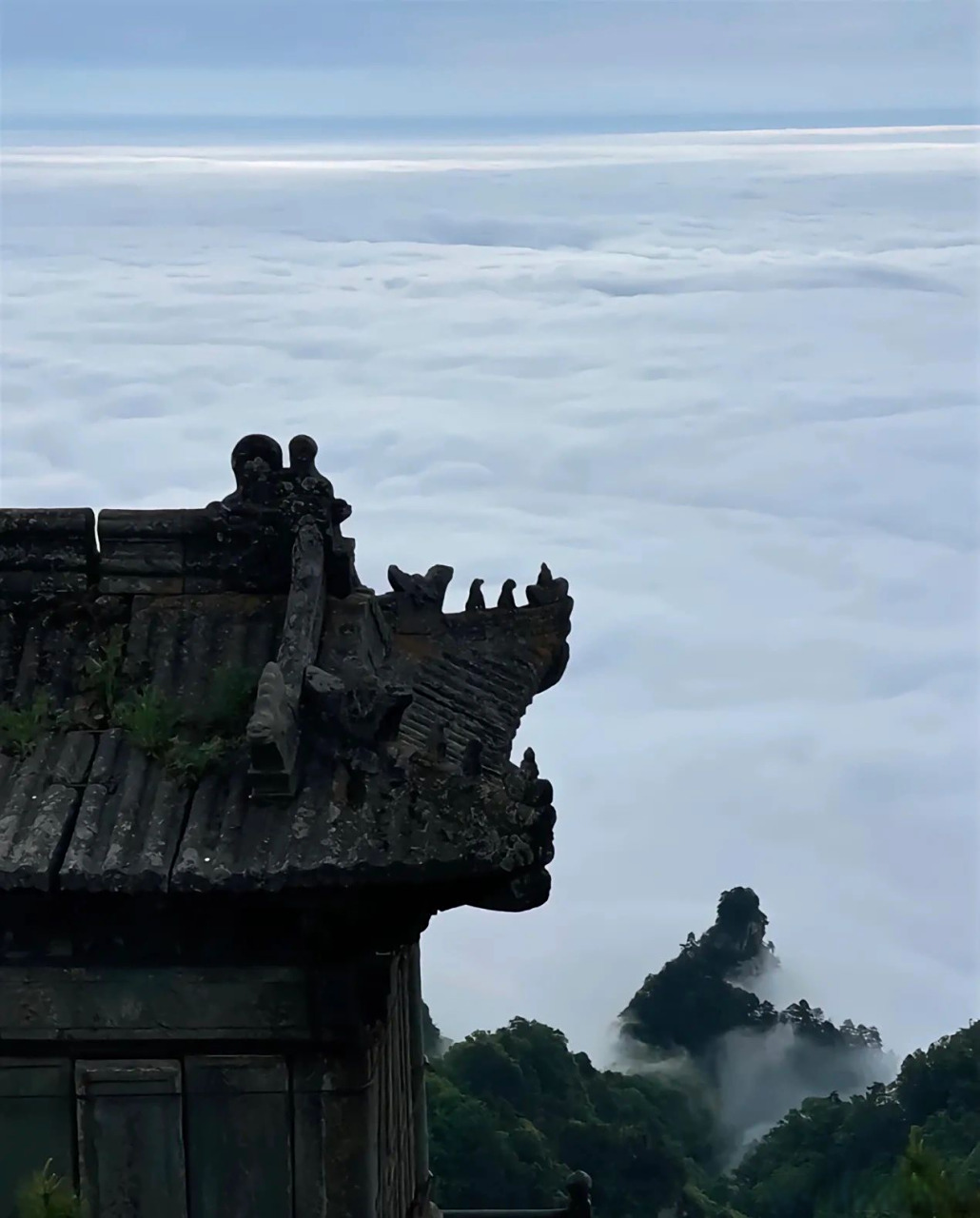 秋染武当山多彩美如画# 秋日下的红墙绿瓦湖北武当山紫霄宫太美了