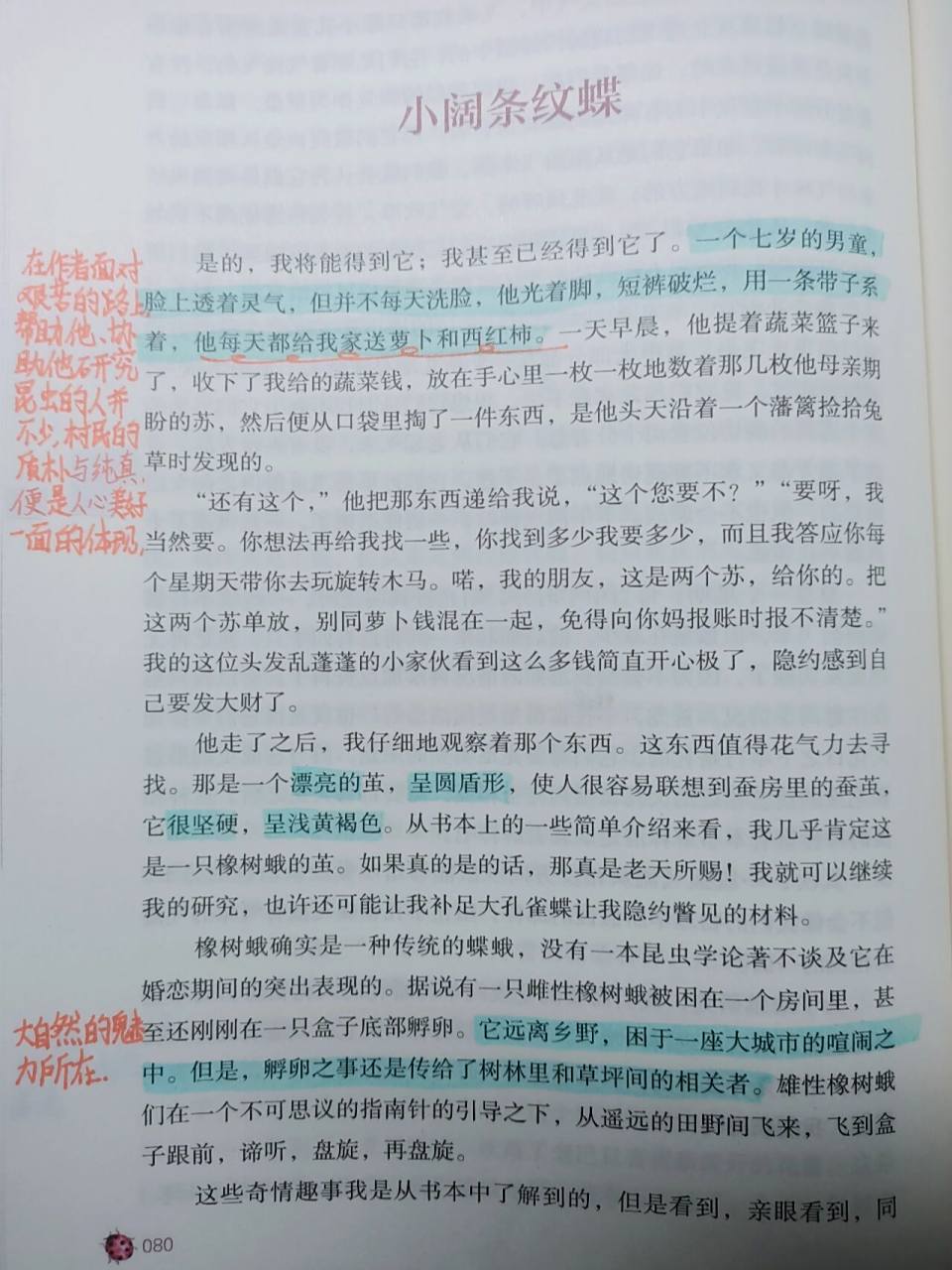 《昆虫记》(小阔条纹蝶)批注9 版本:人教版 如题.