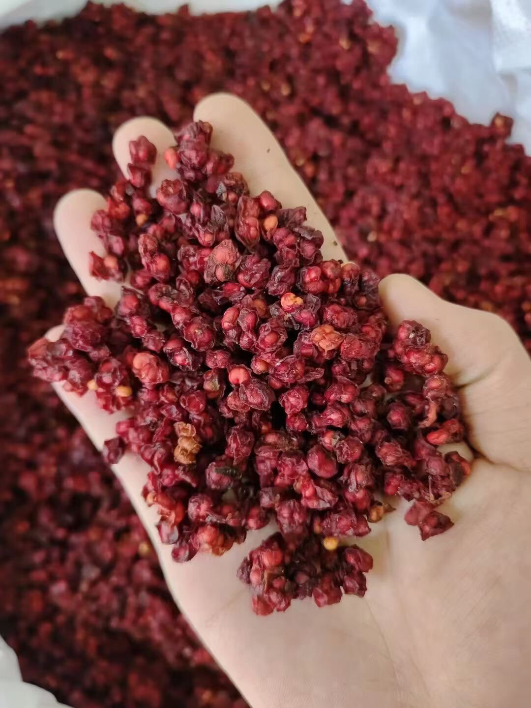 静心安神,对常见老年病肺肾虚损之咳喘,消渴尿多