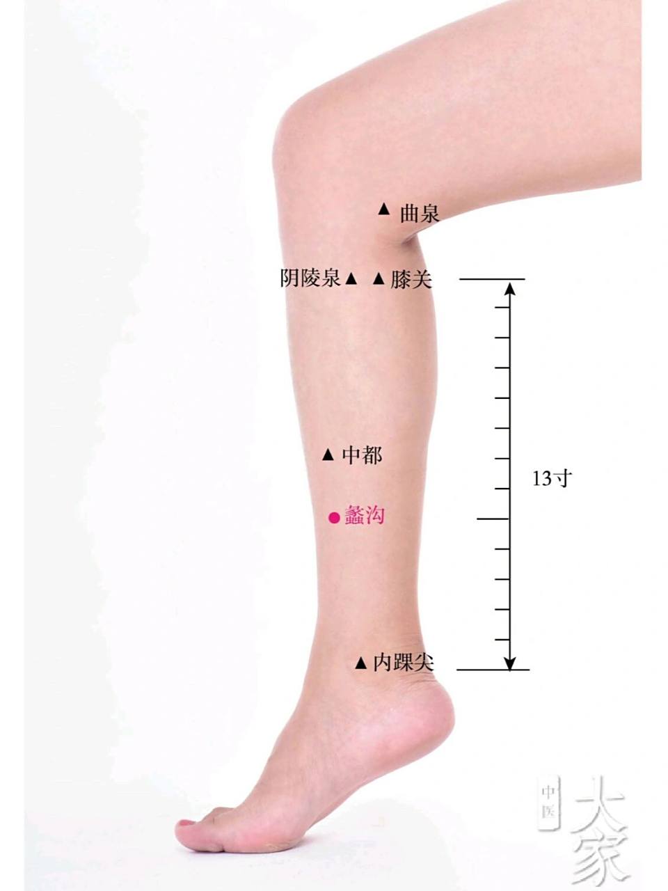 妇科炎症白带多可以按揉这个穴位 蠡沟穴位于小腿,是肝经上一个不太起