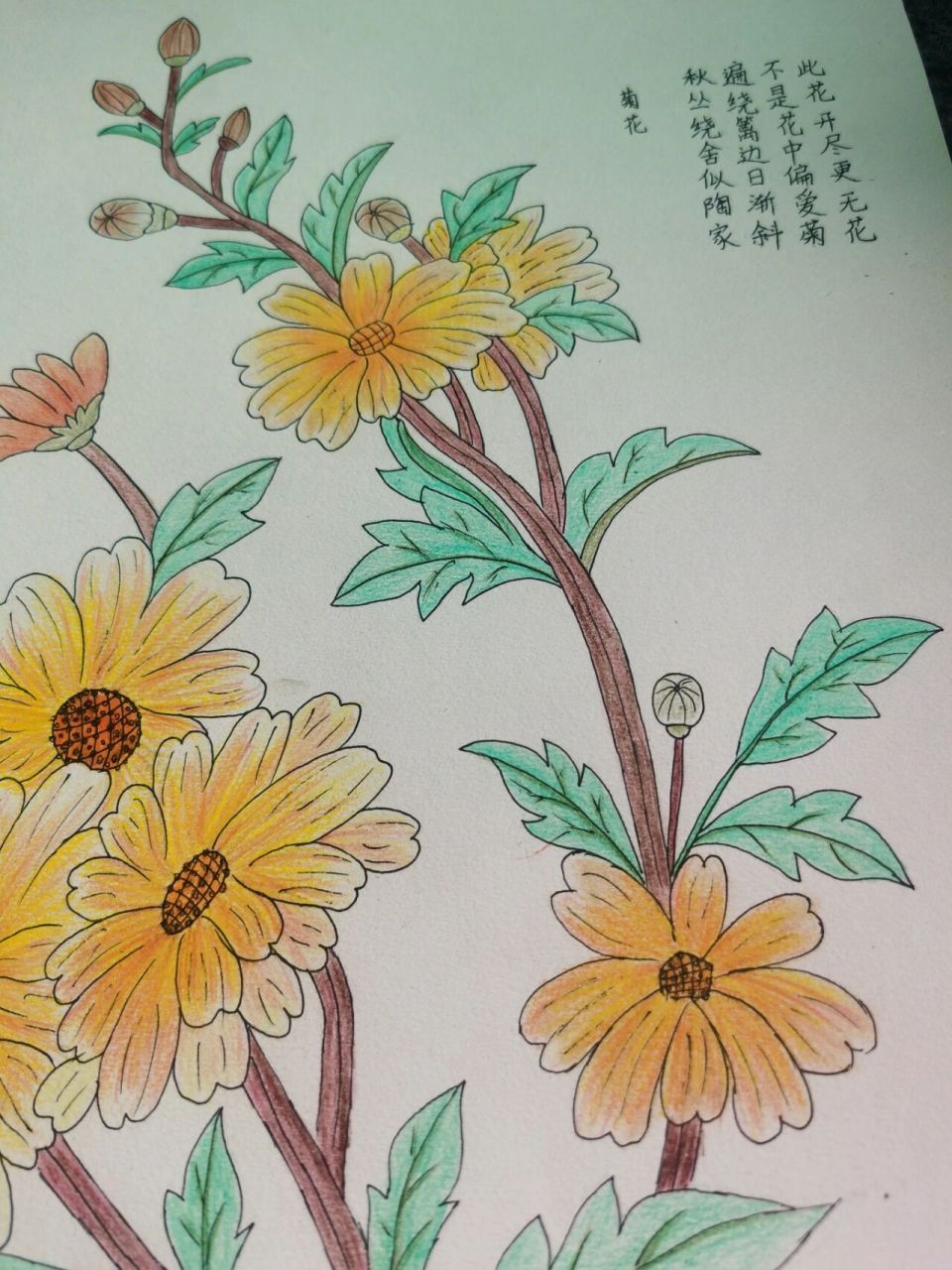 诗配画《菊花》