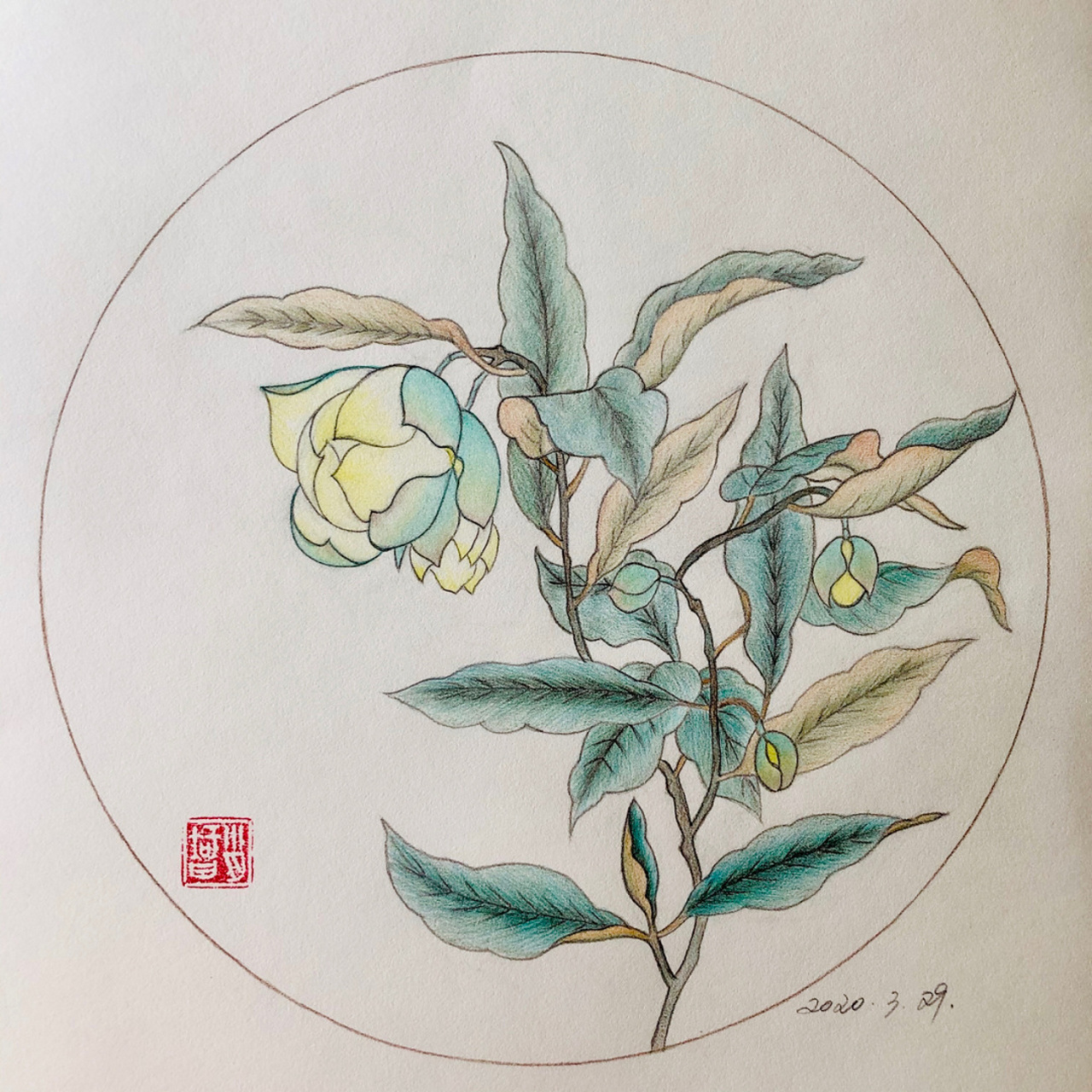 浪人文化a3素描纸:尺幅42cm*32cm; 辉柏嘉60色水