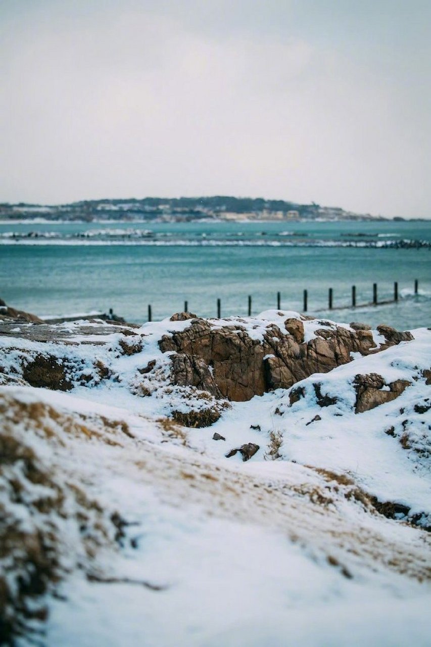 青岛海边雪景图片