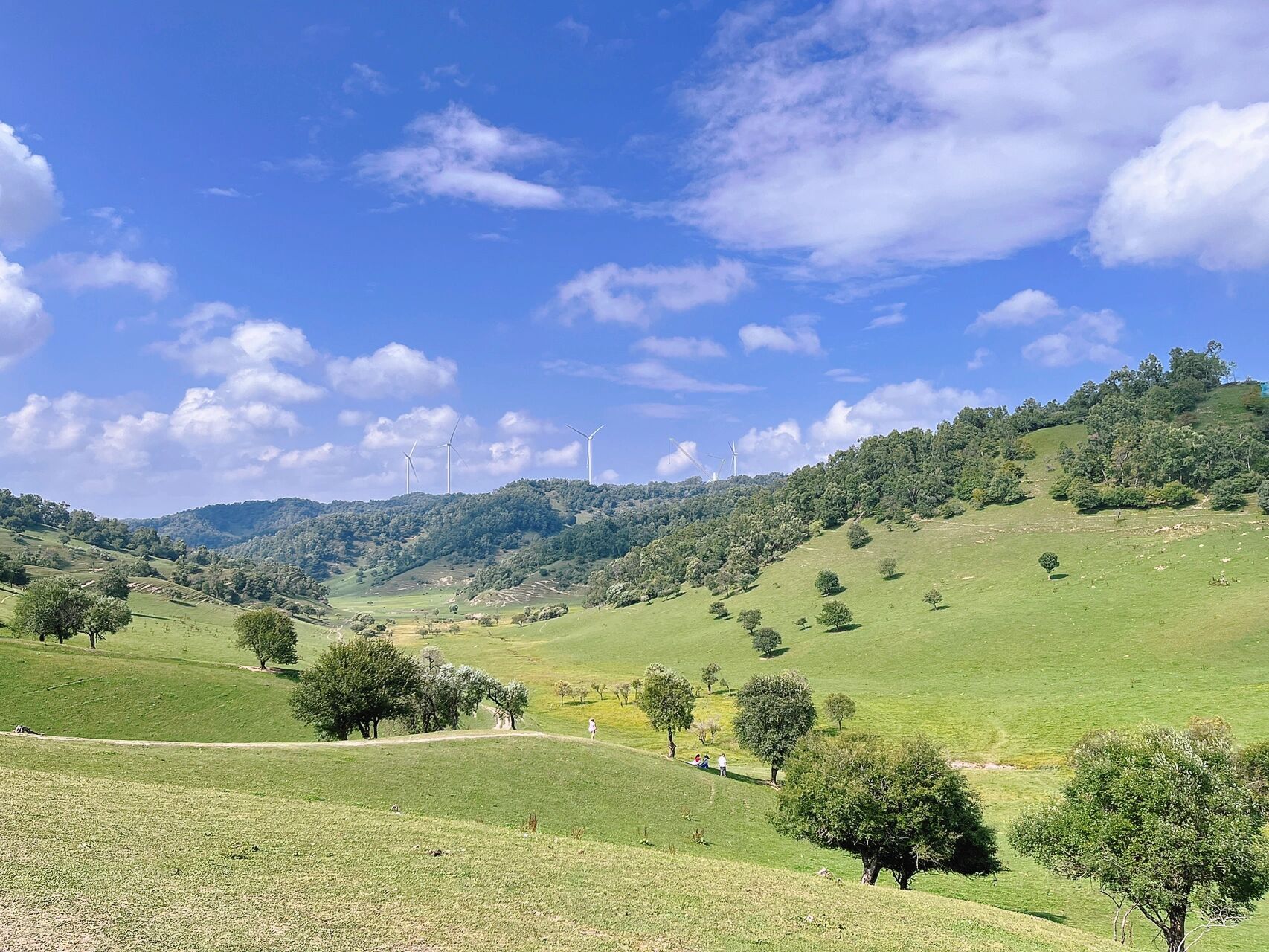 关山牧场一日游 我们是从西安出发直接到宝鸡市区,然后休息一晚上,第