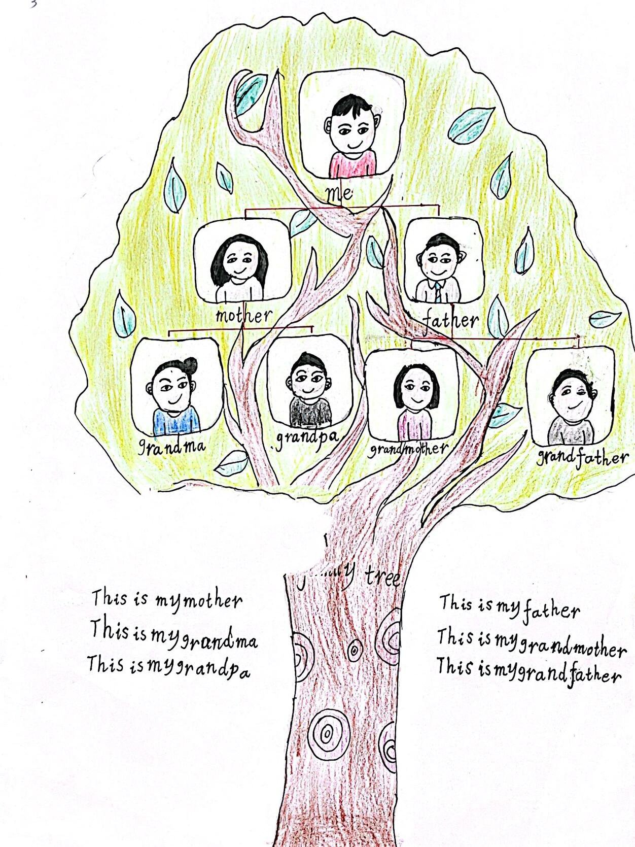 「英语特色作业」family tree 我的家庭树