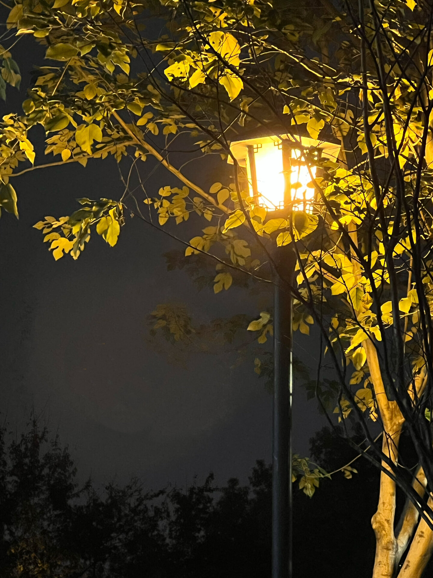 夜晚路上的风景也很美,你喜欢哪张呢