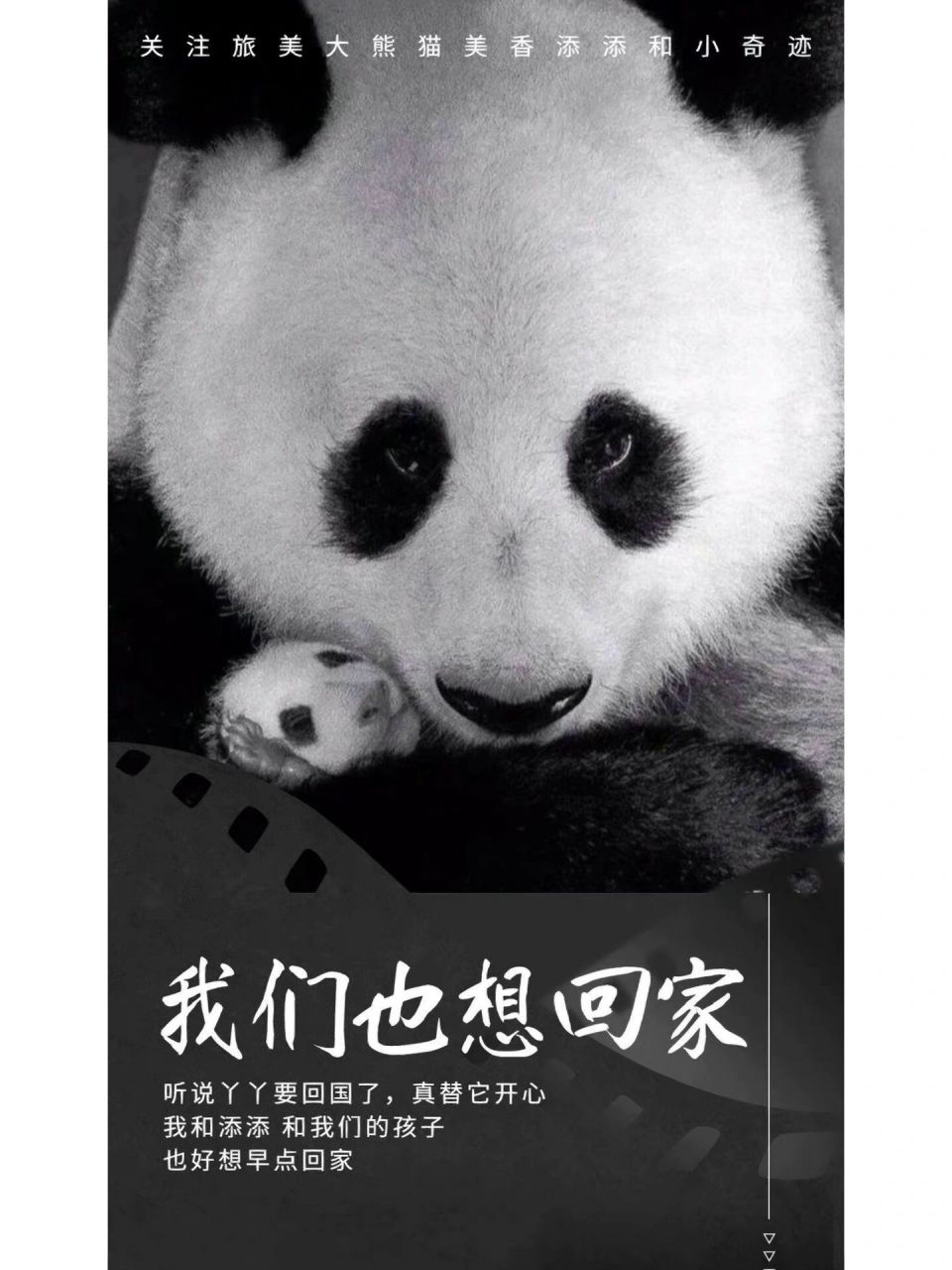 持续关注美香一家 难过却又无能为力,我们能做的就是把美香一家顶上热