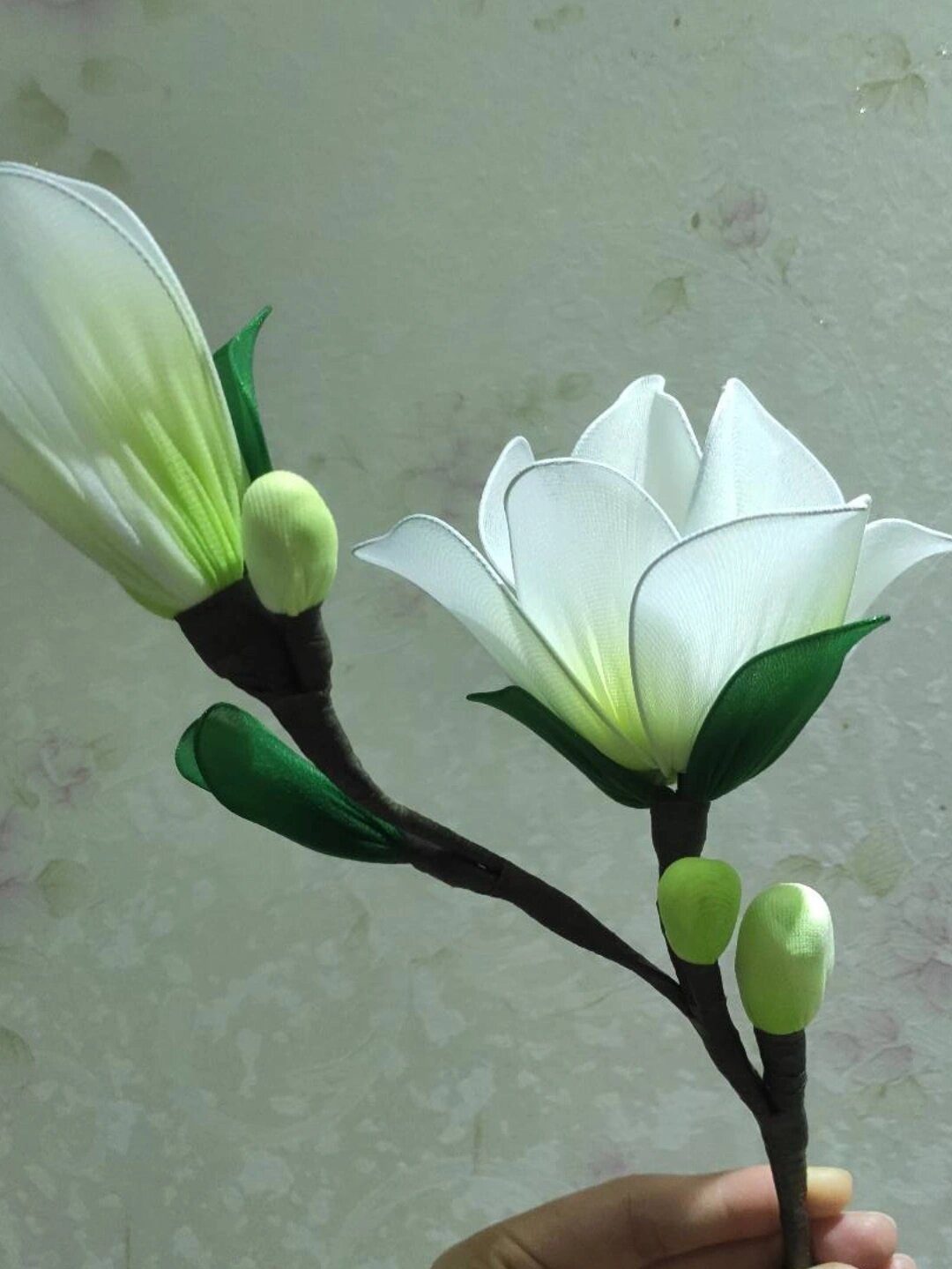 丝网花之白玉兰