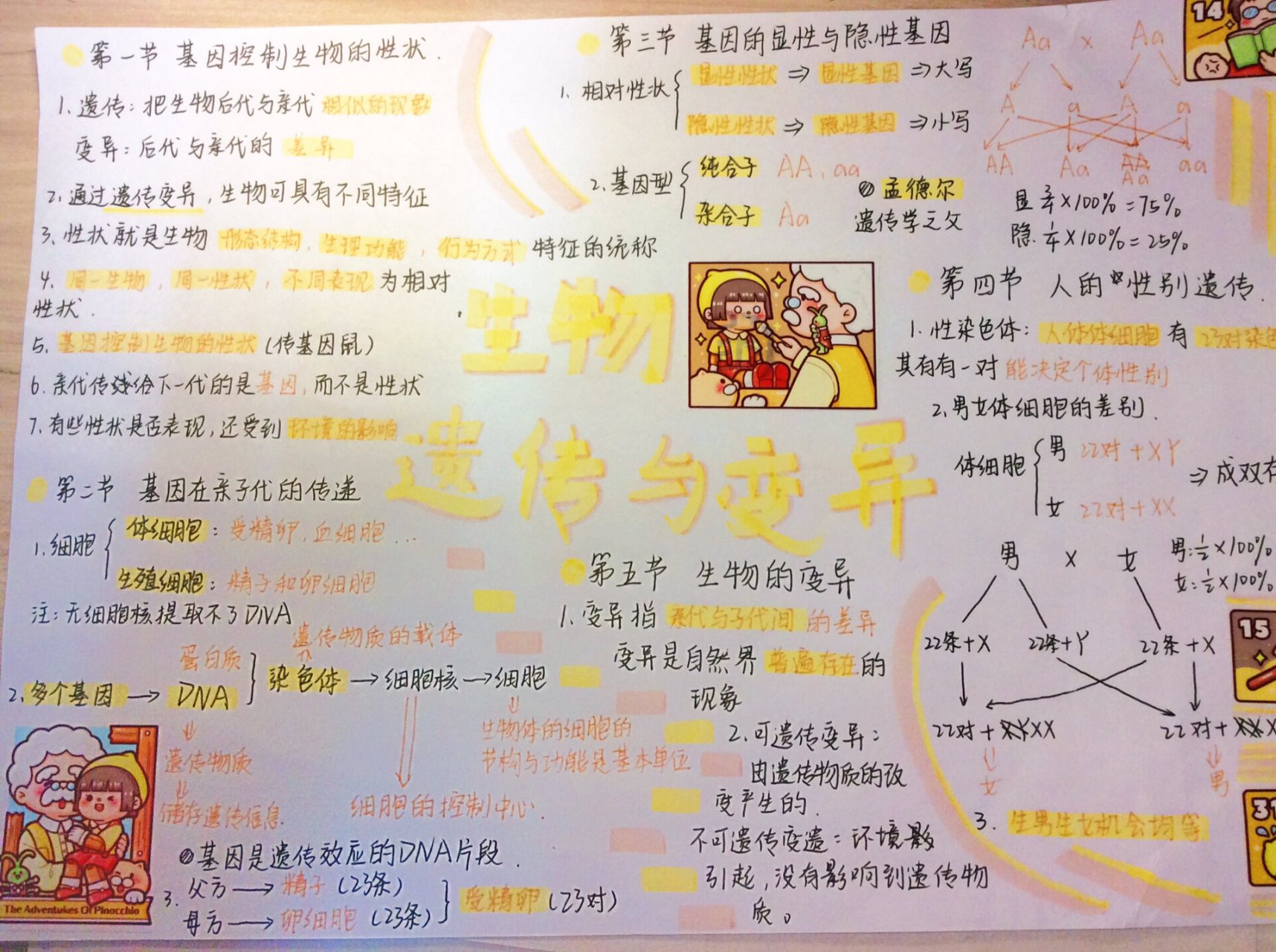 八下生物的遗传与变异思维导图 八年级下册第二章生物遗传与变异