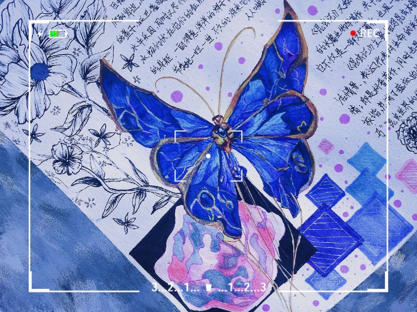 《昆虫记》手抄报  这应该是我画得最认真的一张手抄报了吧