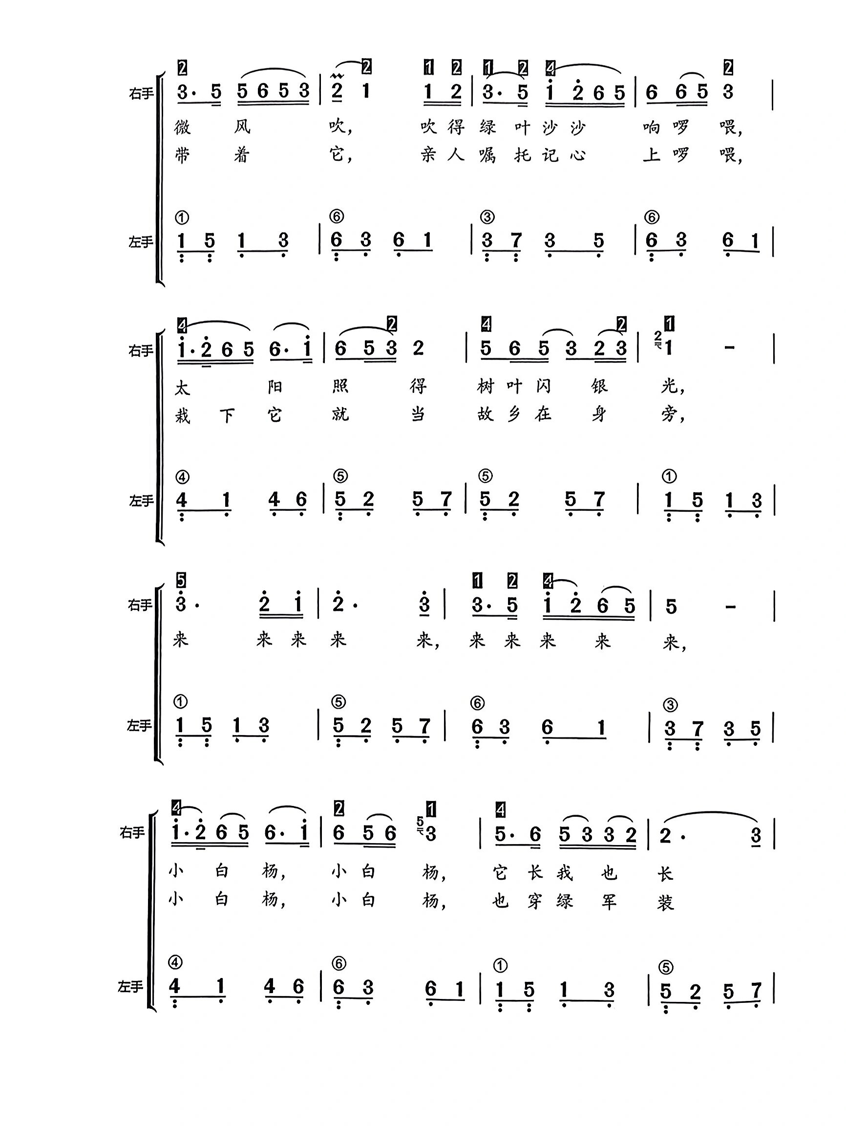 《小白杨》钢琴简谱@迷人的皮卡丘的动态