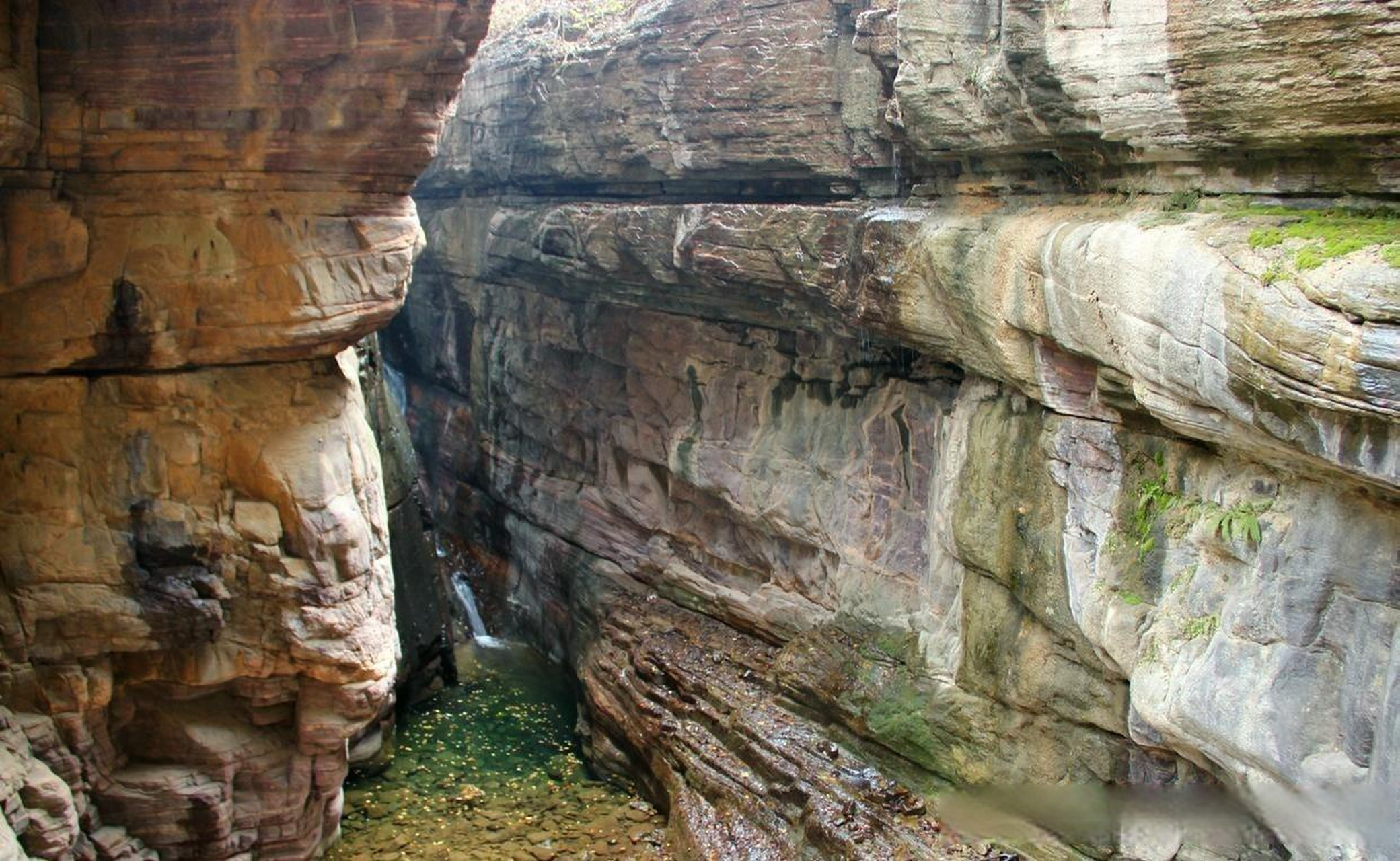 河南万仙山的丹分沟之旅,一路攀登至山顶,眺望绝美景色.