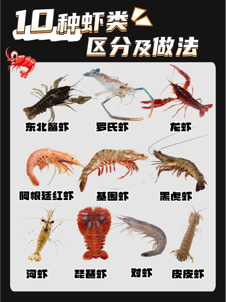 一分钟看懂10种常见食用虾97 市面上虾种类太多, 有些新手小白不懂
