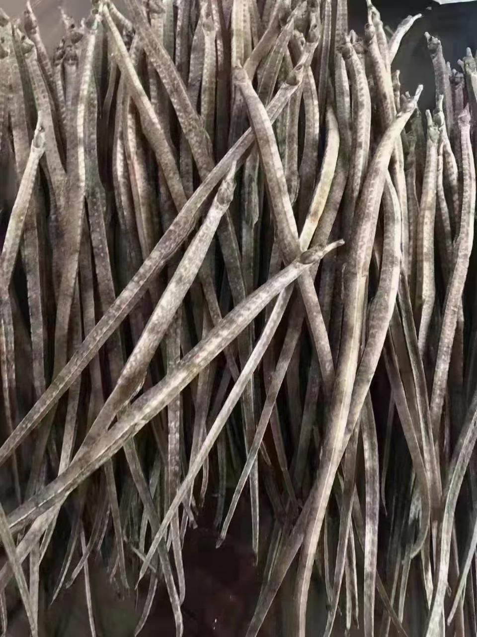 新晒特大海马干  94本港野生六角大海龙~905元1条,9530条包邮