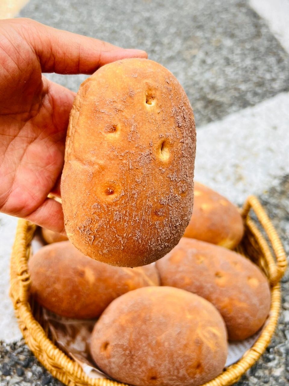 这真的不是土豆子08 这是土豆面包08长得韩里韩气的 早餐我啃一个