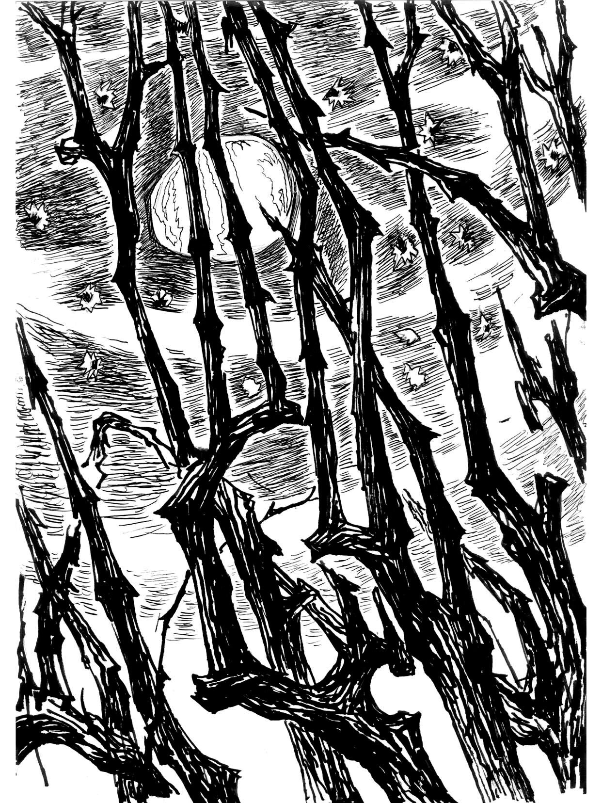 野草插画版中夹页 作者:裘沙 王伟君 裘大力 我