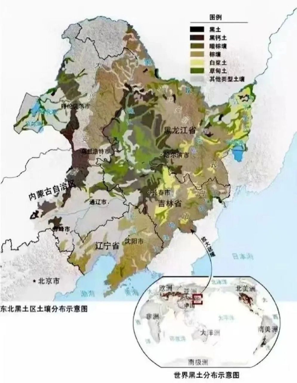 【高考地理】世界四大黑土带 介绍:黑土是由地表植被经过长期腐蚀形成