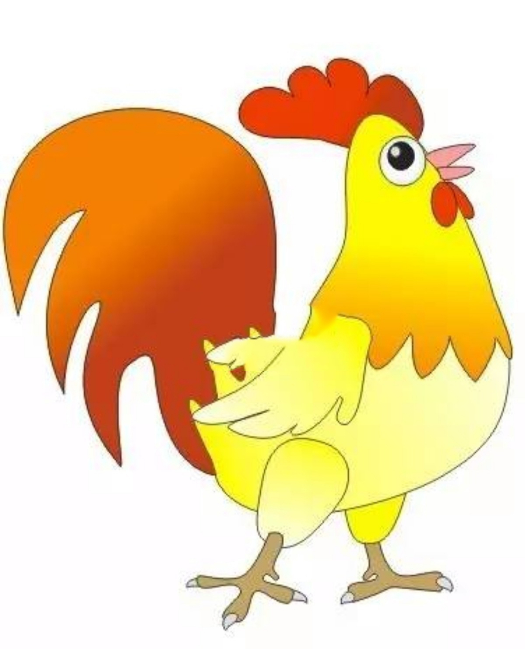 生肖属相年份五行对照表之鸡94篇 乙酉年生:1945 2005 乌鸡:乙酉鸡