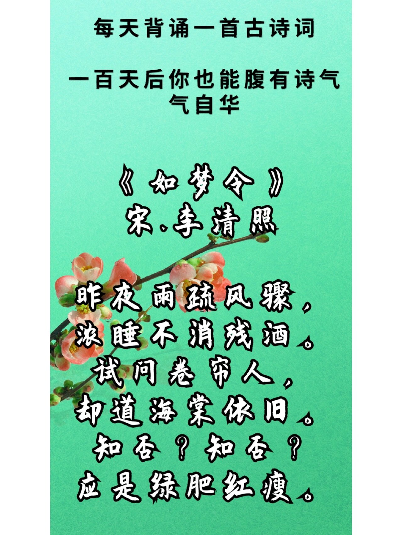 晨读古诗014《知否,知否,》李清照