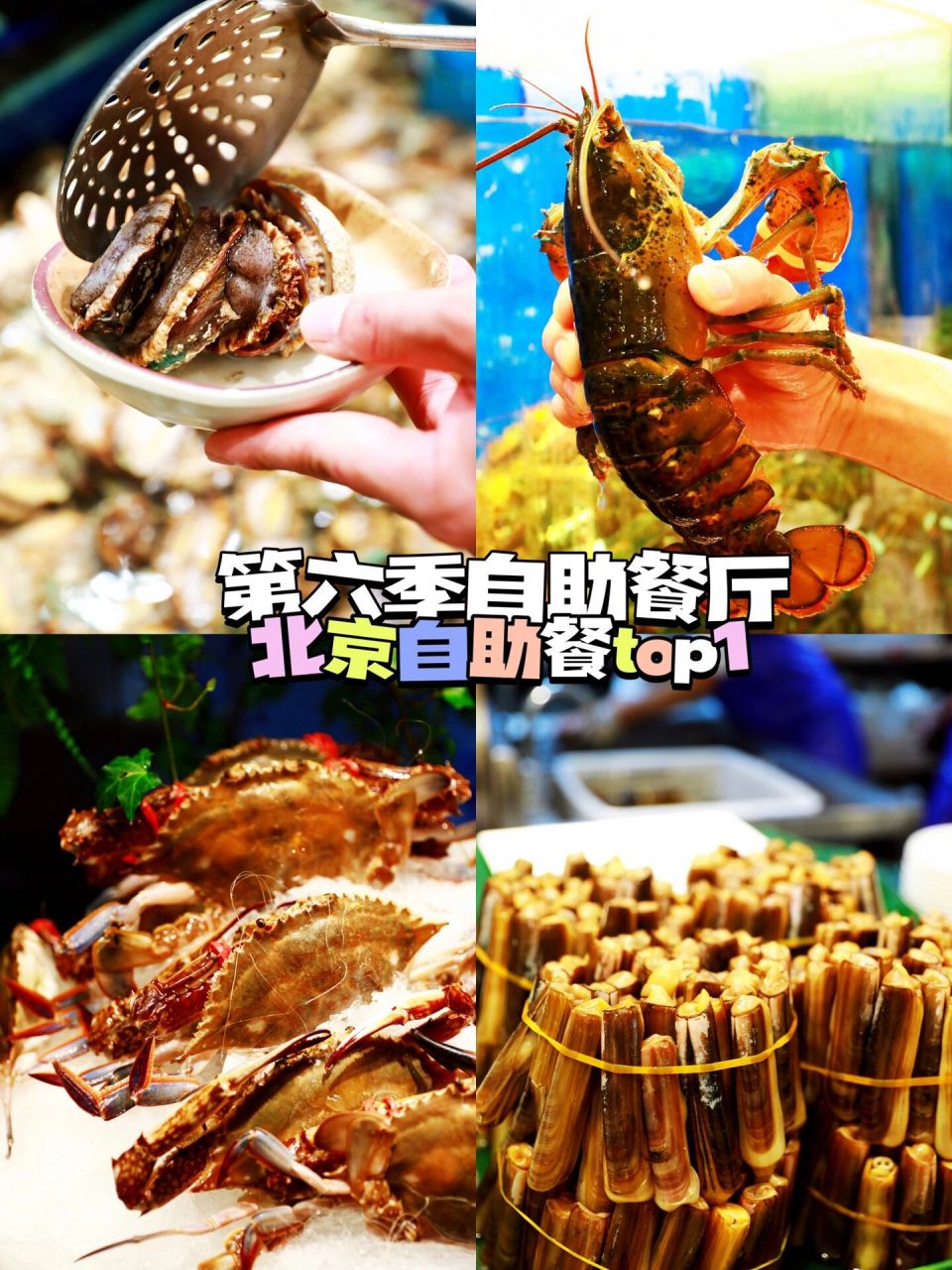 北京吃自助必选餐厅|第六季自助餐厅98 每次想畅吃海鲜900202