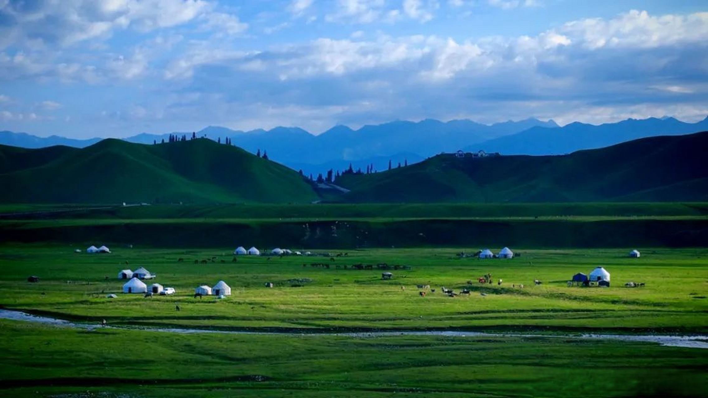 以舞会友好戏疆至# #这个夏天最会跳舞的人都在新疆# 那拉提草原是